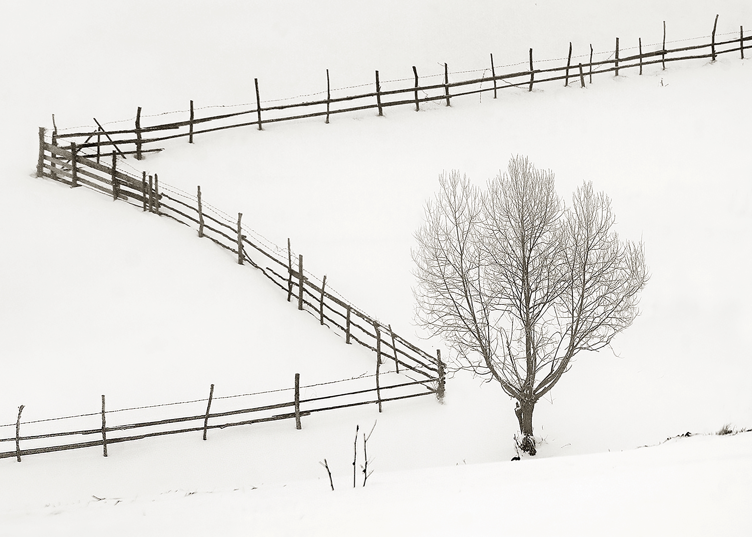 Foto Nagy Lajos EFIAPd3 (RO) - 08