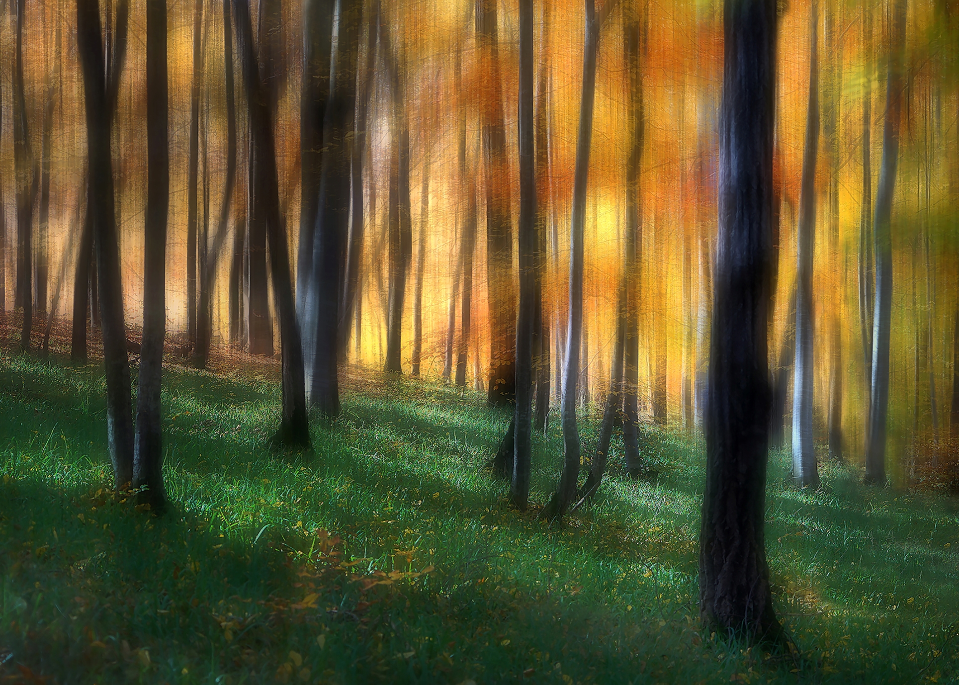 Foto Nagy Lajos EFIAPd3 (RO) - 07