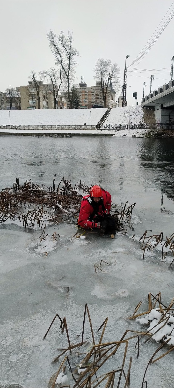 WhatsApp Image 2026-01-13 at 11.59.34 (1)