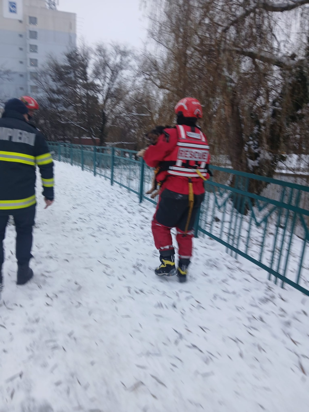 WhatsApp Image 2026-01-13 at 11.55.25 (1)