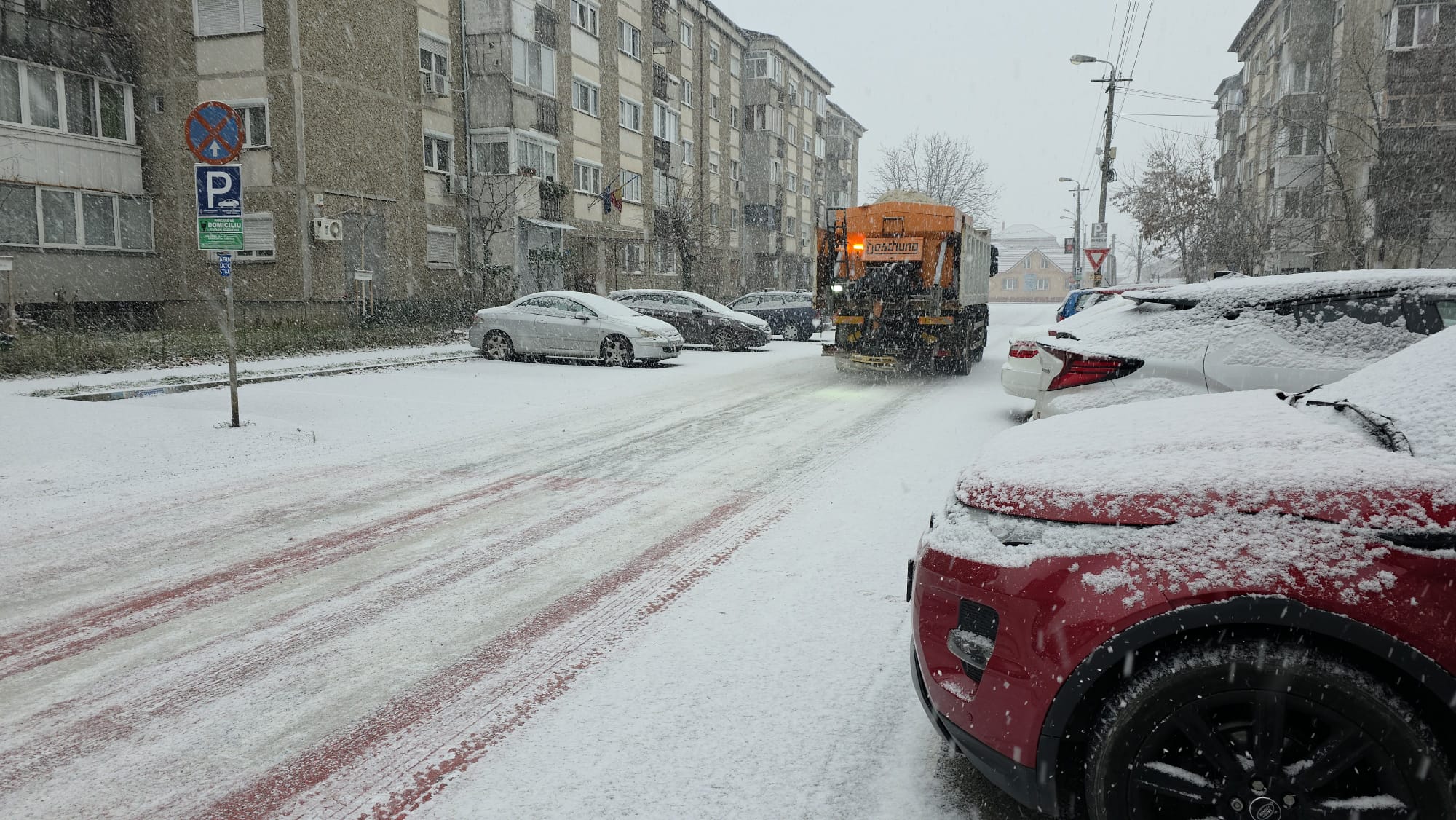 WhatsApp Image 2026-01-13 at 12.54.50