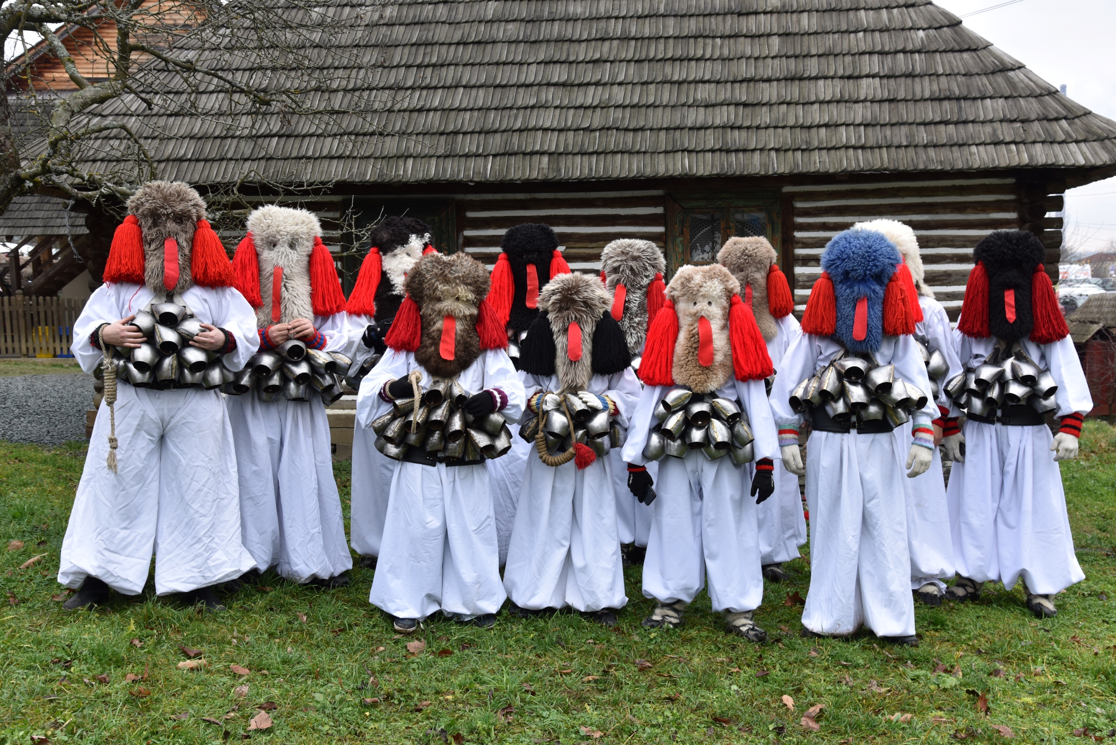 Foto Tudorel Ilie (RO) 2