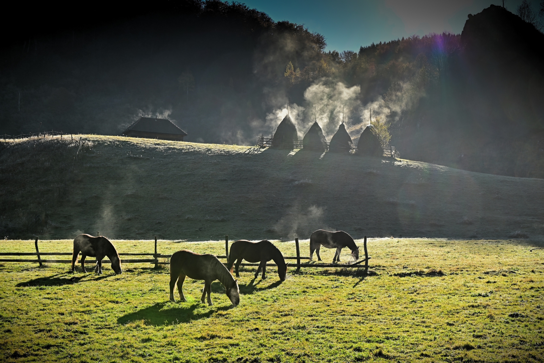 Foto Szabó Géza (RO)