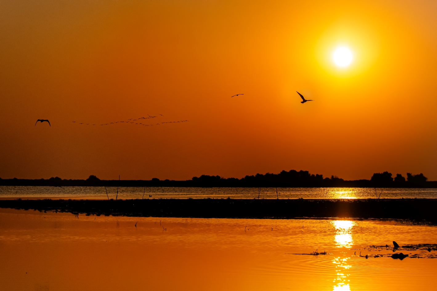 Foto Morvay Szabó Edina EFIAP (RO)