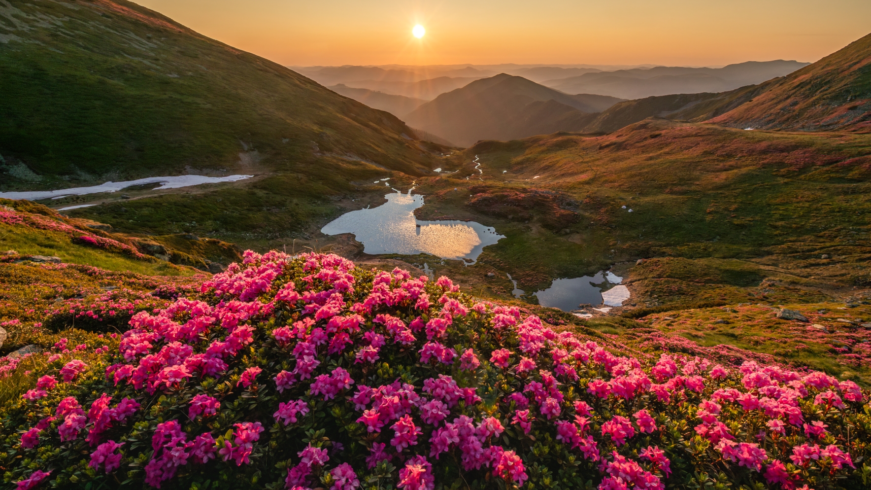 Foto Oros Claudiu (RO)