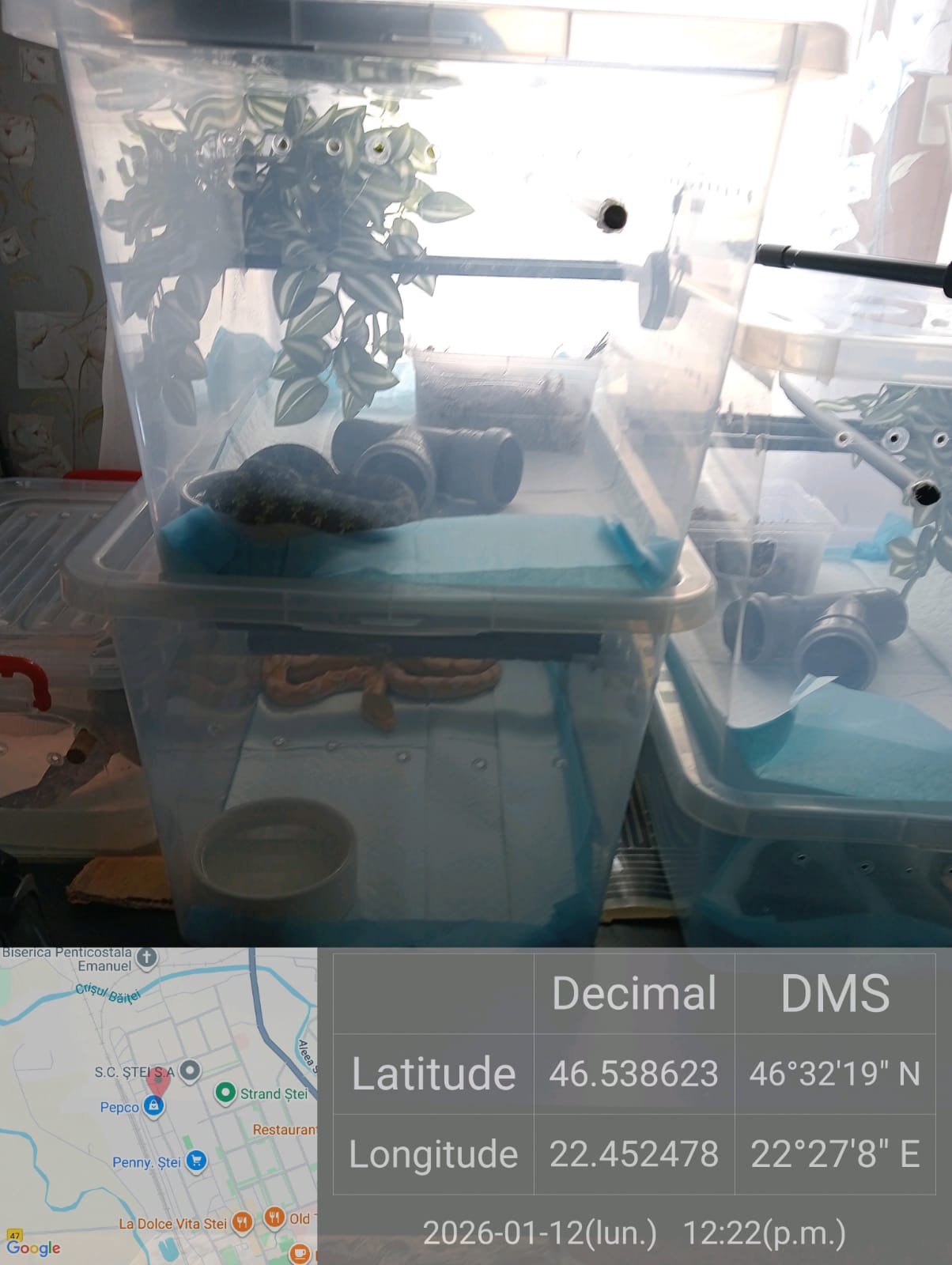 615209702_1198062125840496_794290927304874332_n