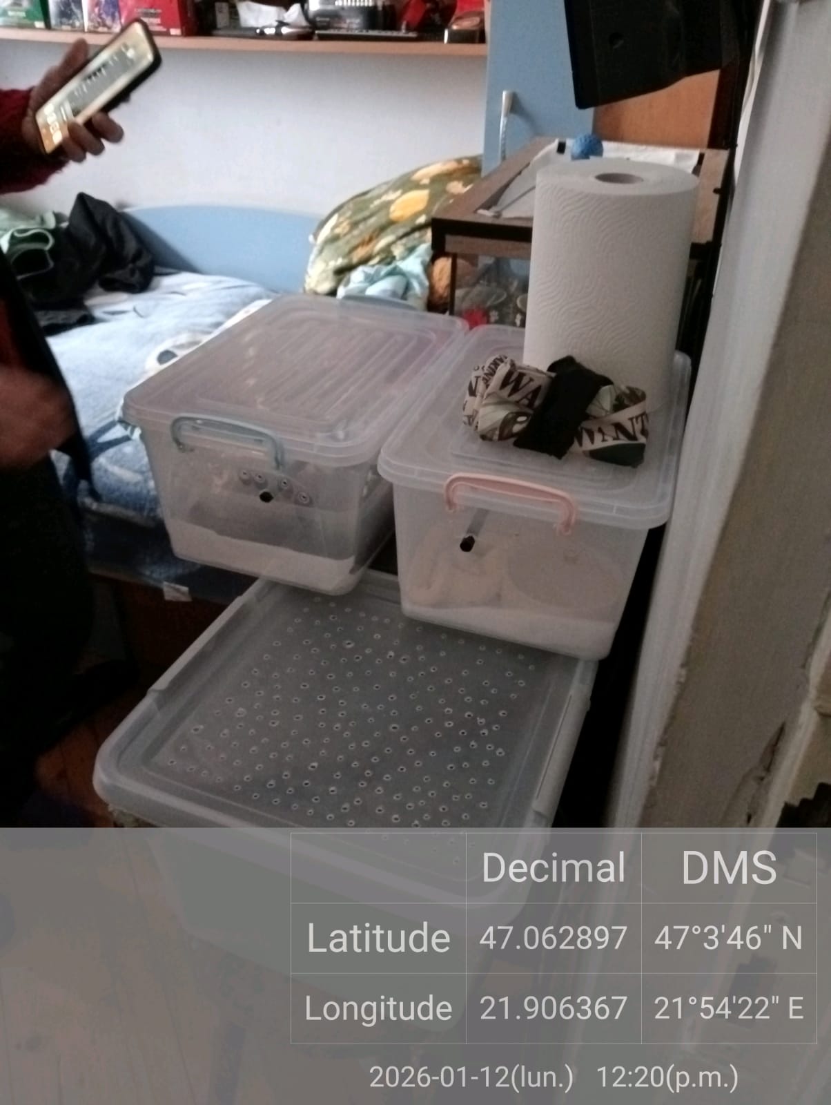 615955152_1198062292507146_1998207192499282231_n