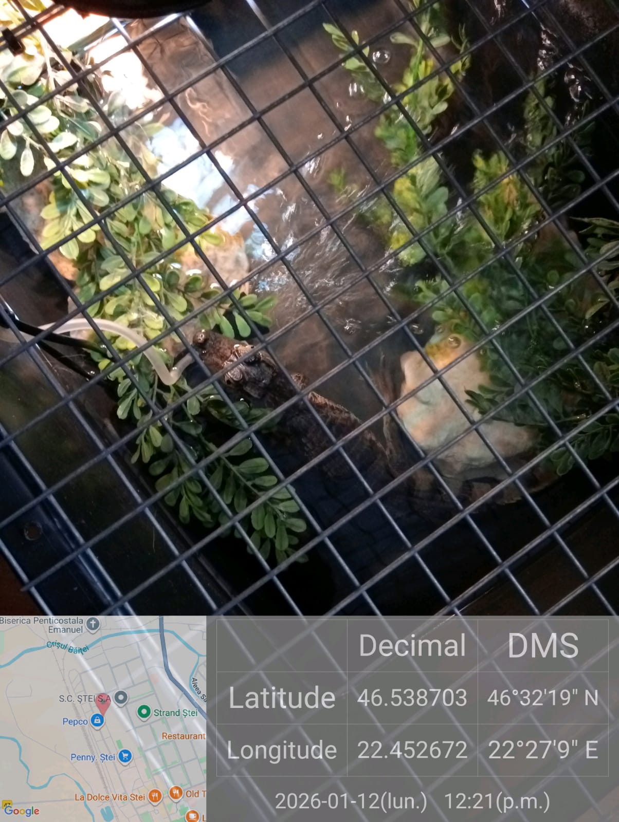 615418151_1198061812507194_3711674091681316635_n