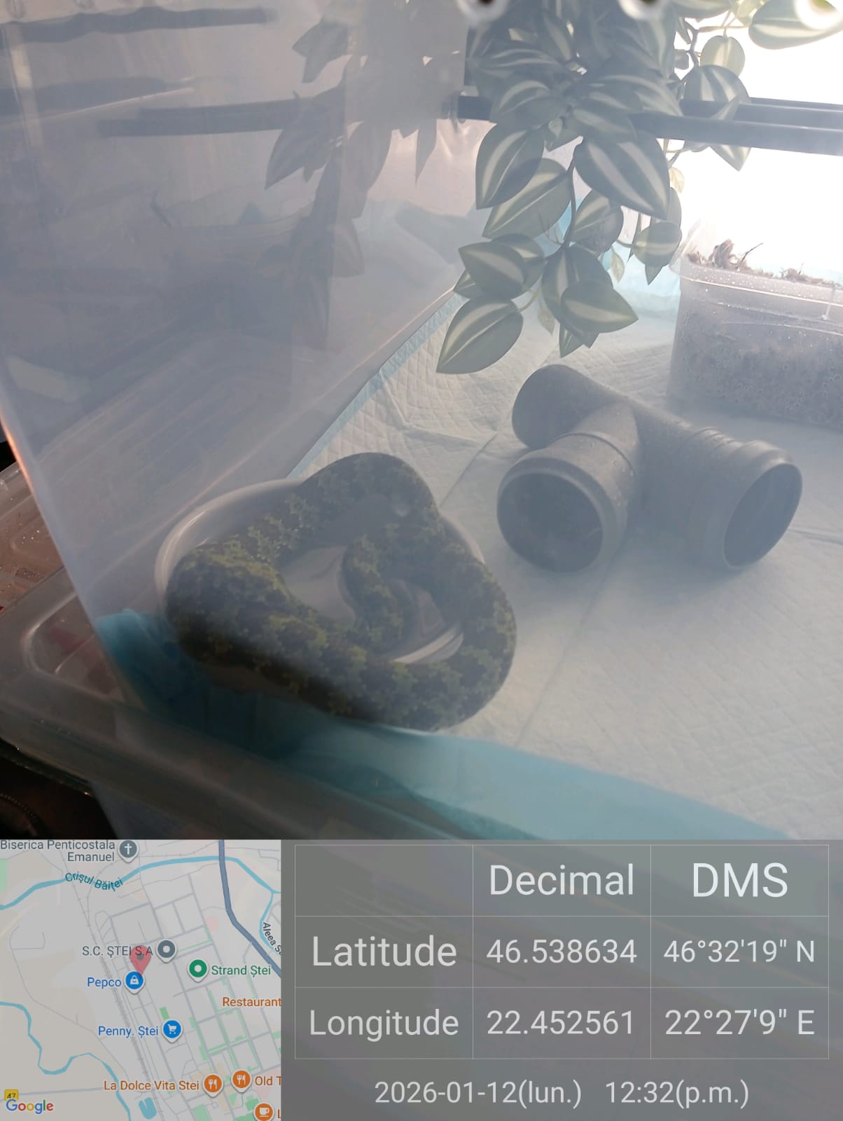 615934649_1198061342507241_4729519216742135729_n