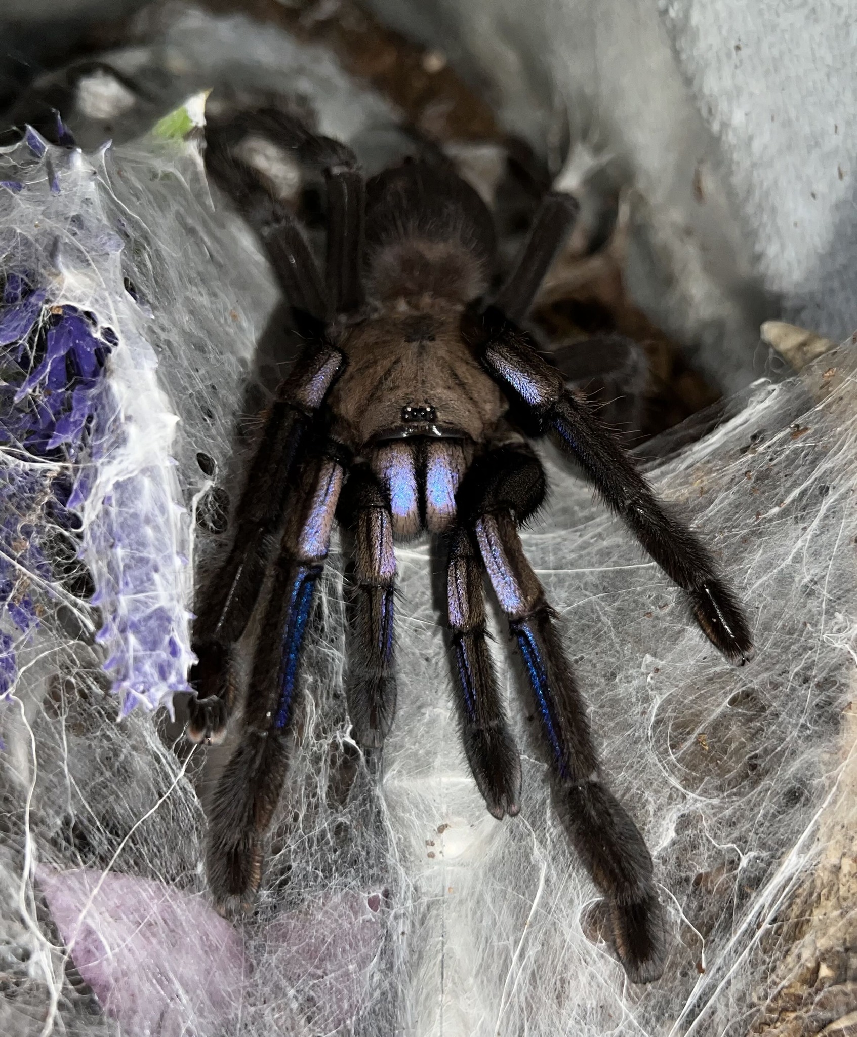 615432320_1198061112507264_3950271058447616181_n