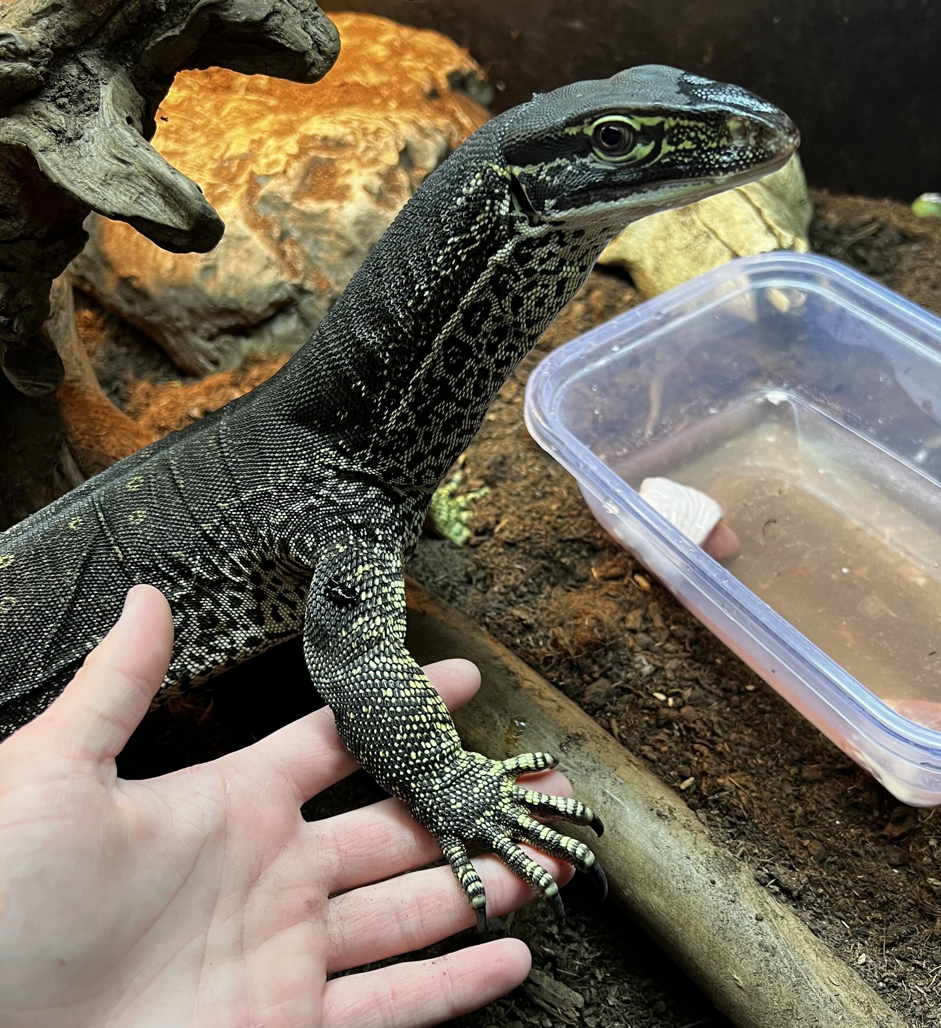 615479953_1198061005840608_967643217332272611_n