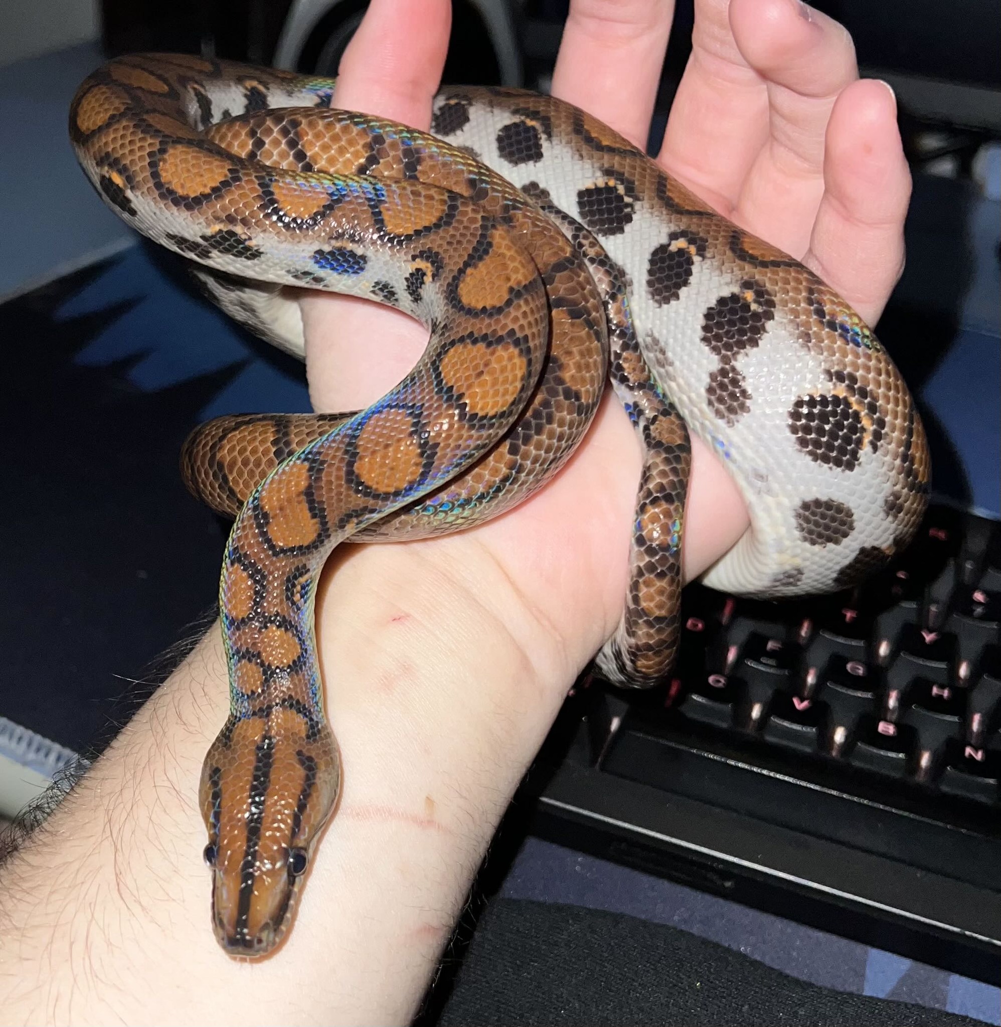 616115287_1198060812507294_7655611308898940356_n