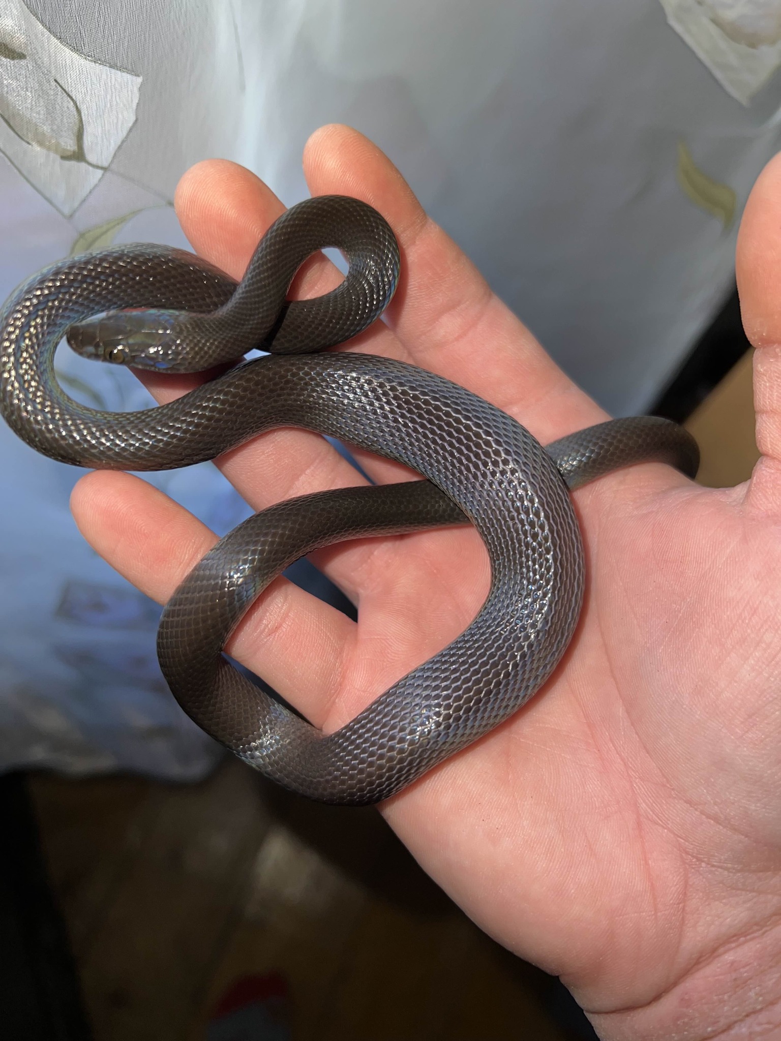 614956888_1198060749173967_8827658864950769904_n