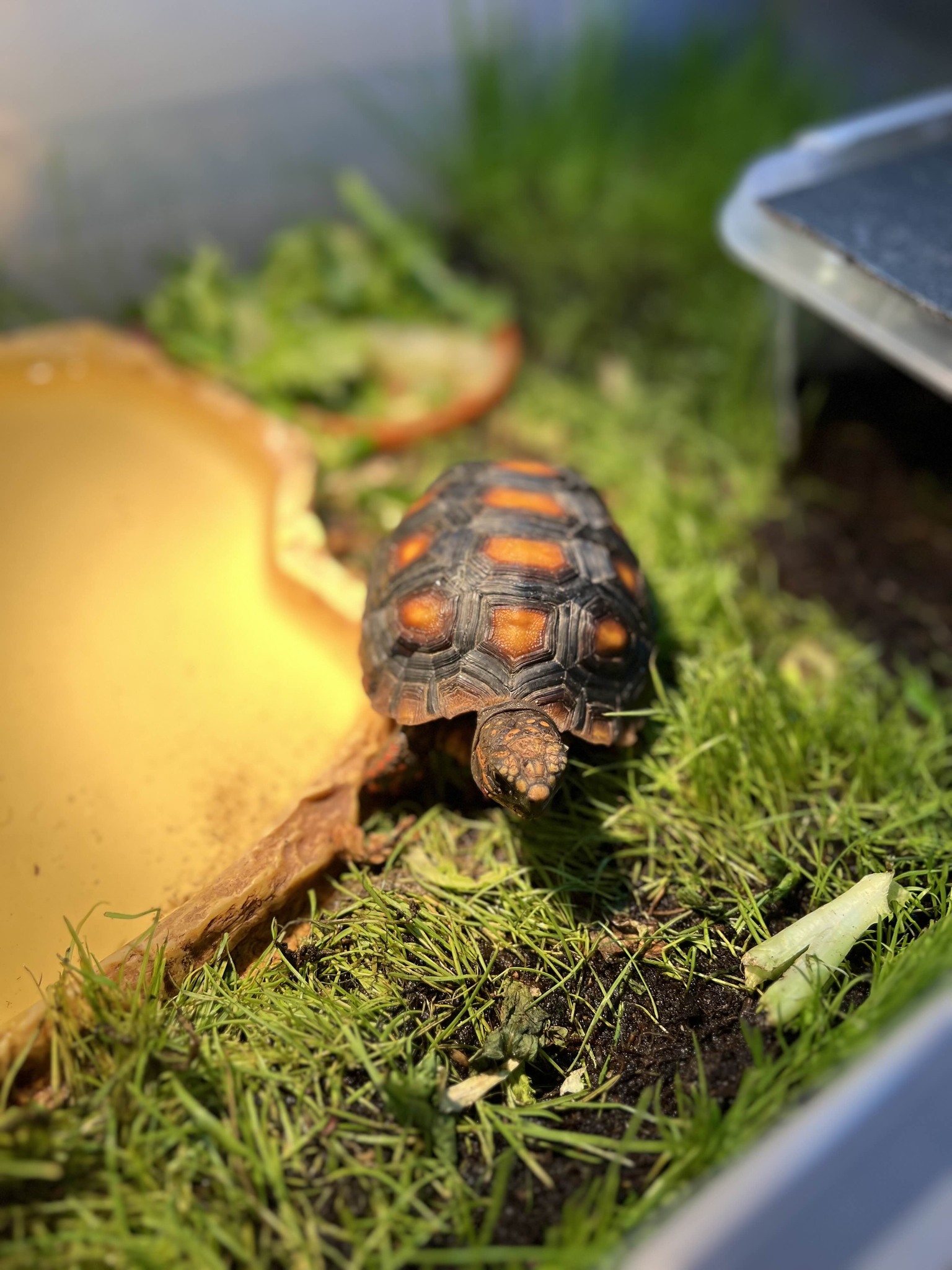 616184816_1198060705840638_2668638343137247958_n