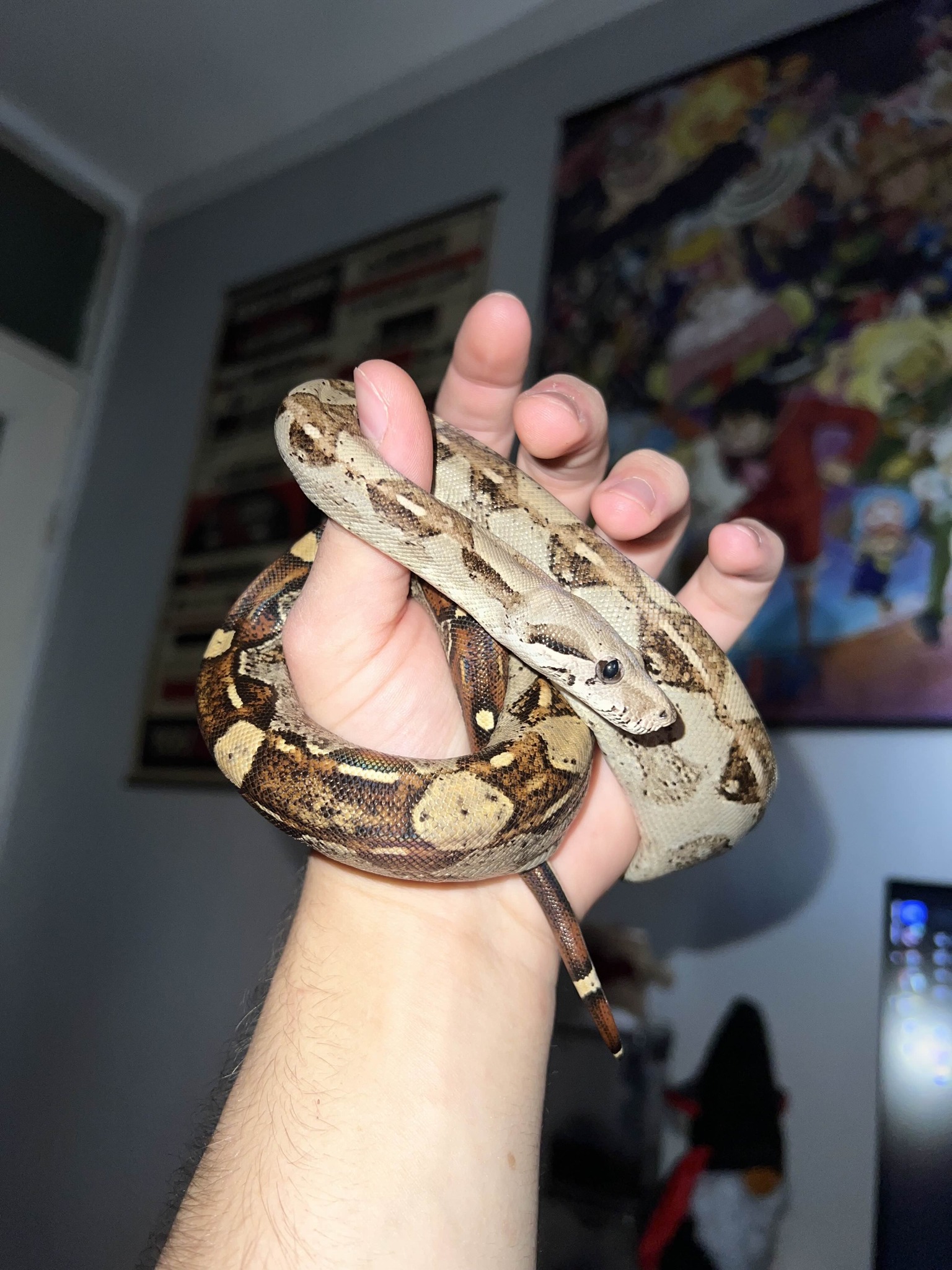 614890585_1198060779173964_684113218088864201_n