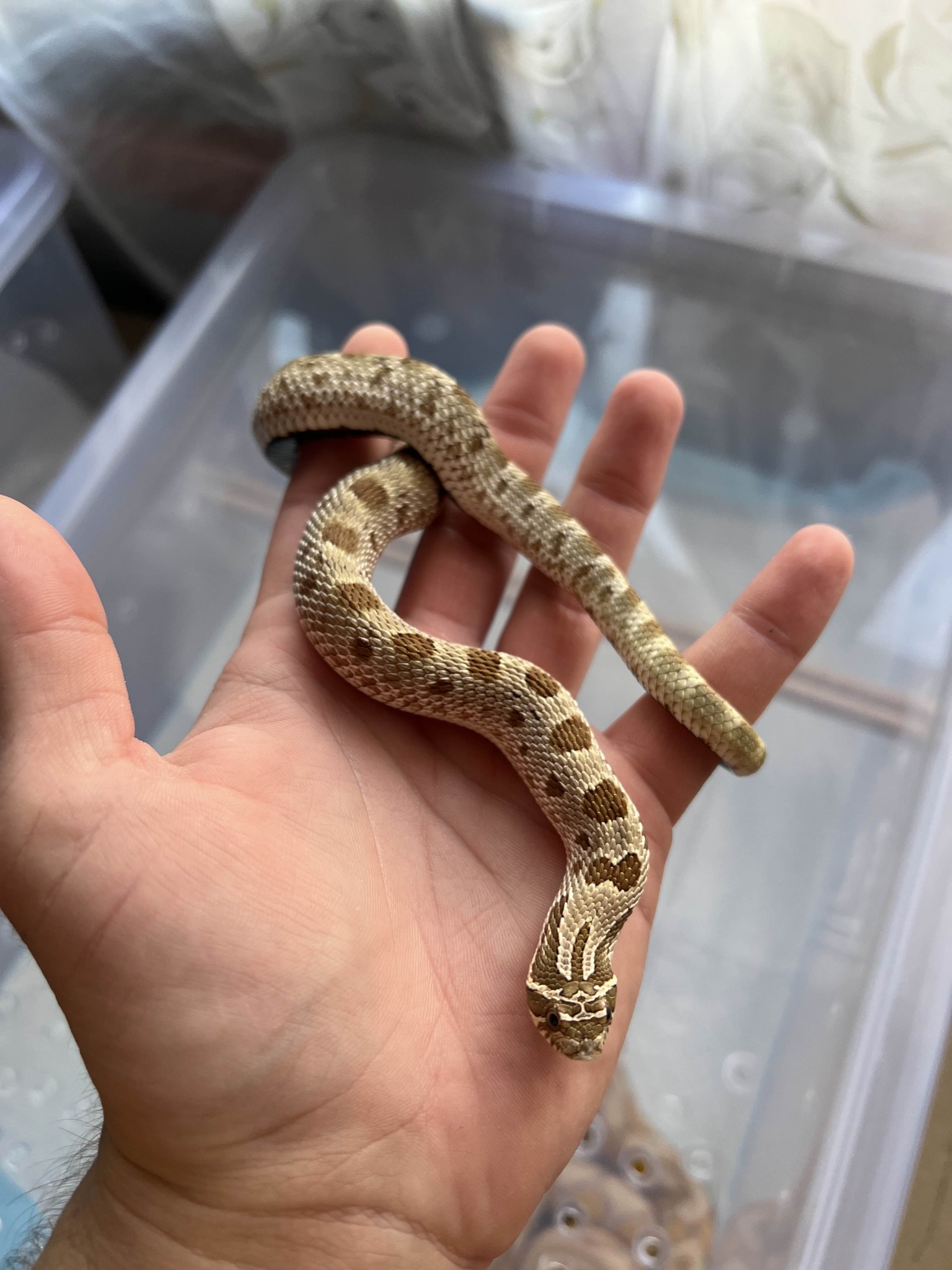 614885463_1198060712507304_2170310410684668652_n