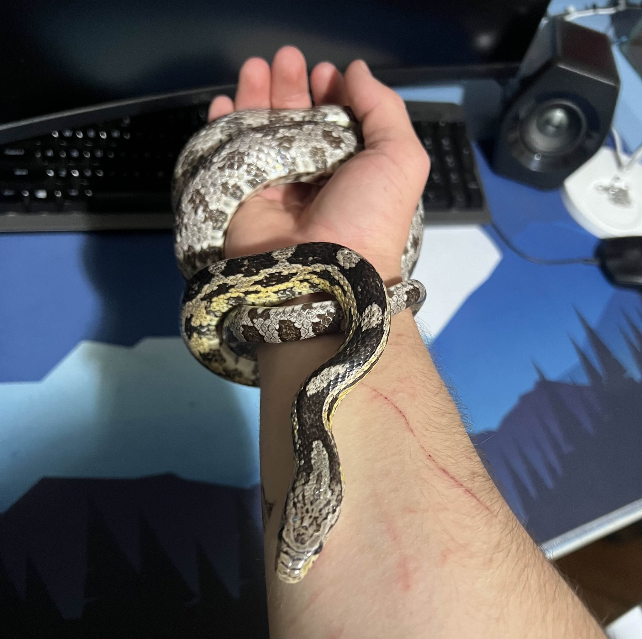 616007755_1198060729173969_6477653772975098177_n