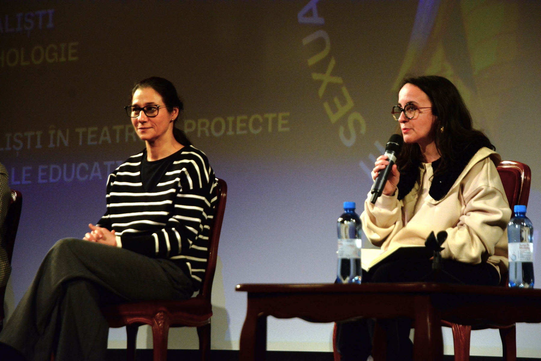 Panel_TABU la Teatrul Regina Maria (4)