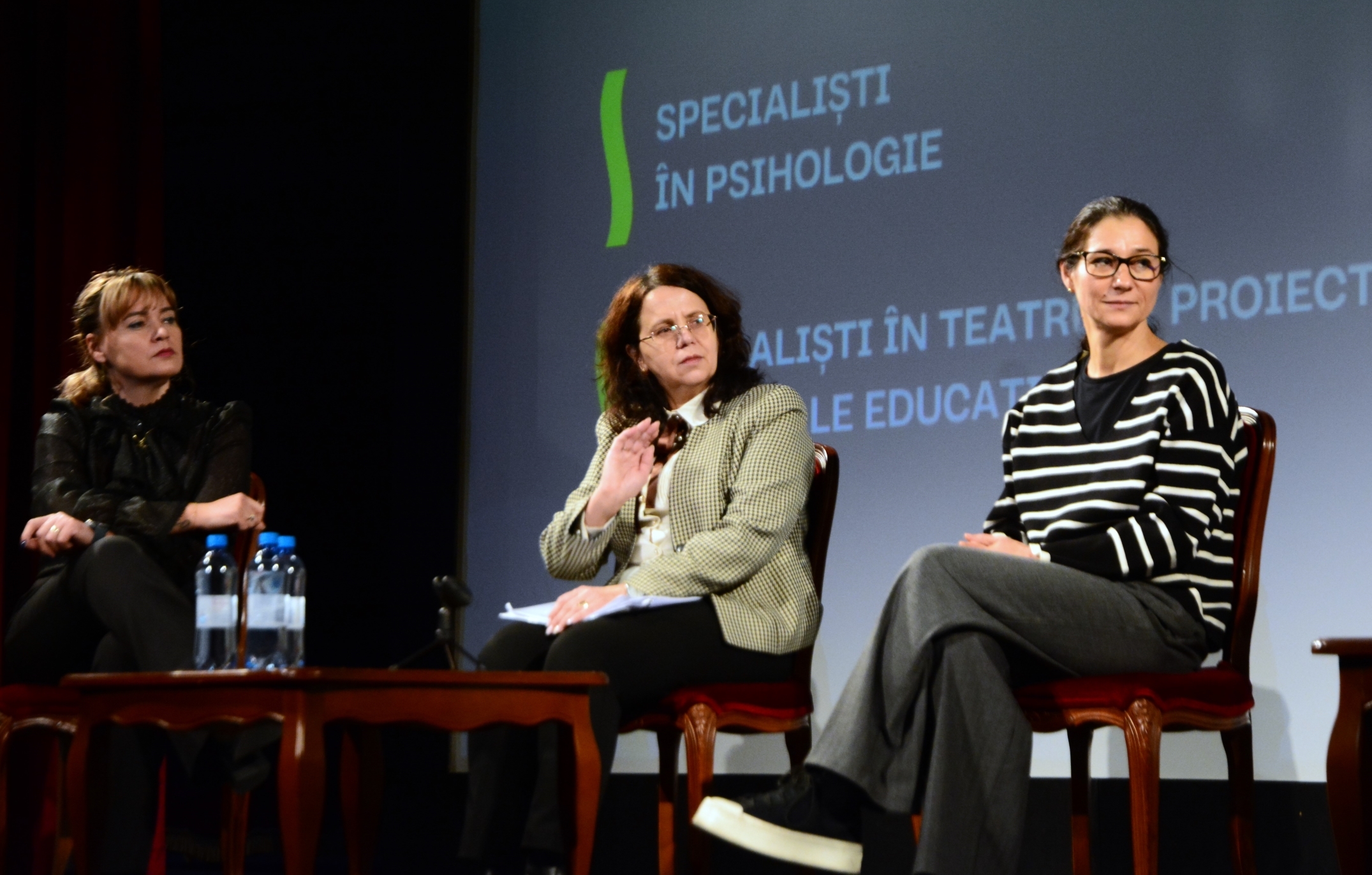 Panel_TABU la Teatrul Regina Maria (5)