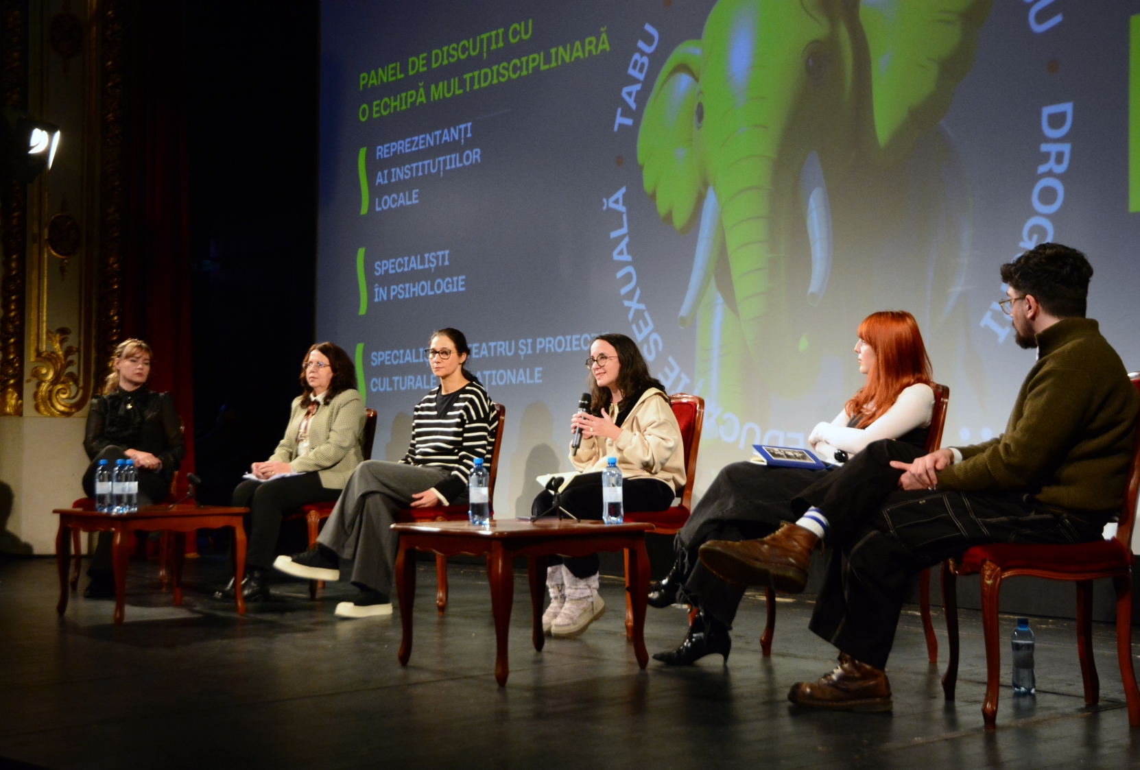 Panel_TABU la Teatrul Regina Maria (12)