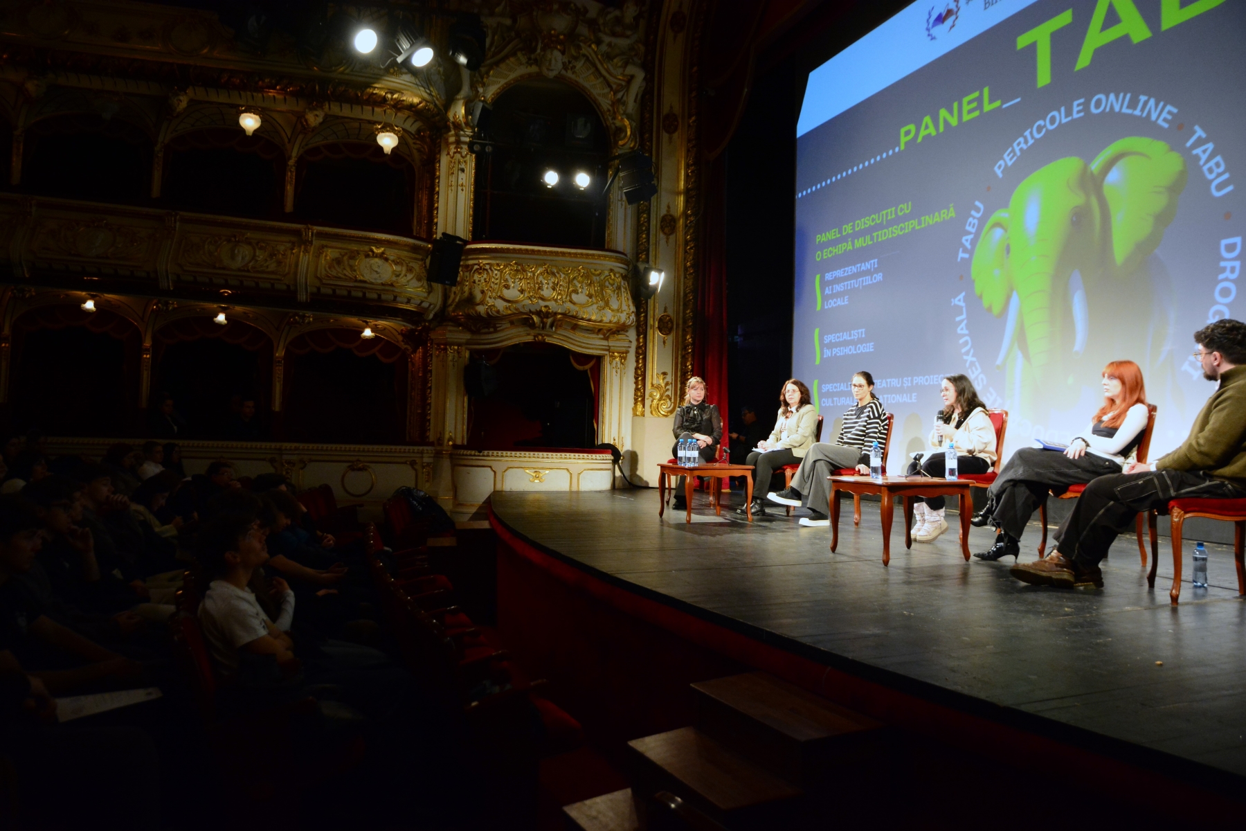Panel_TABU la Teatrul Regina Maria (13)