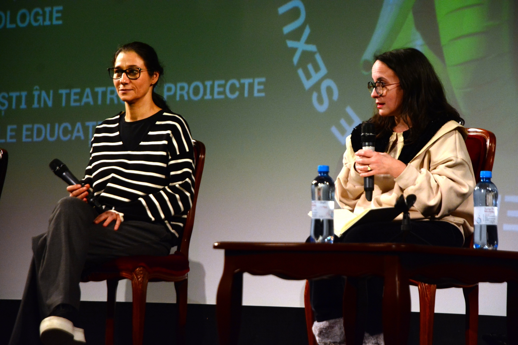 Panel_TABU la Teatrul Regina Maria (14)