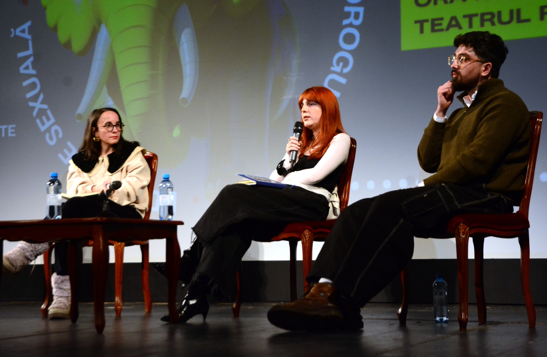 Panel_TABU la Teatrul Regina Maria (23)