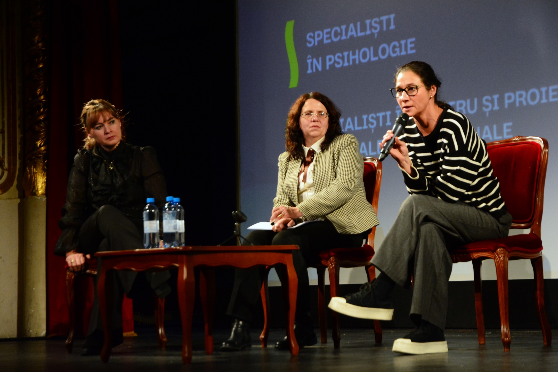 Panel_TABU la Teatrul Regina Maria (29)