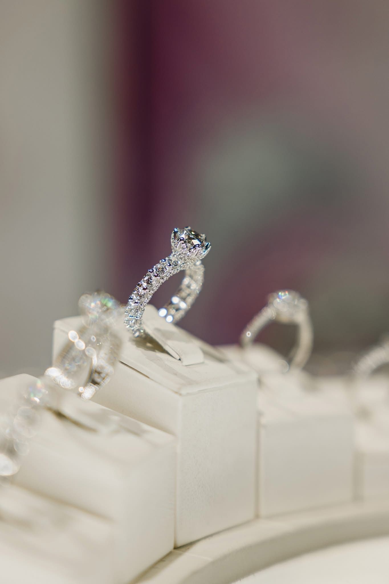 WhatsApp Image 2026-01-16 at 14.54.46 (1)