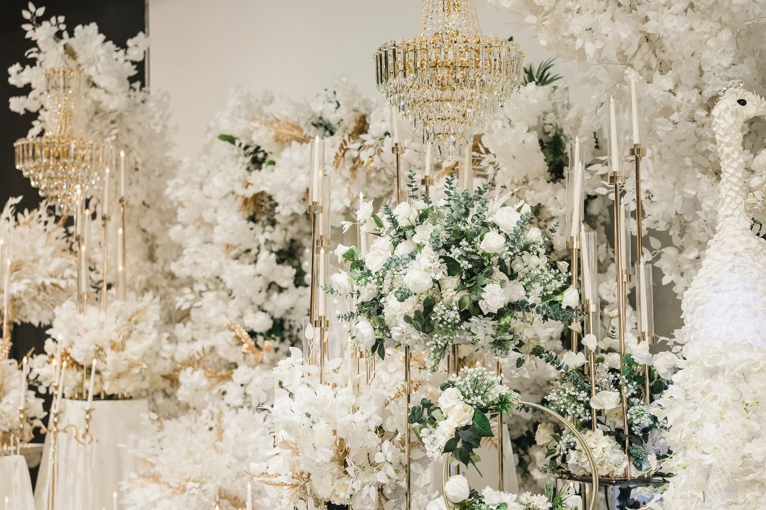 WhatsApp Image 2026-01-16 at 14.54.47 (5)