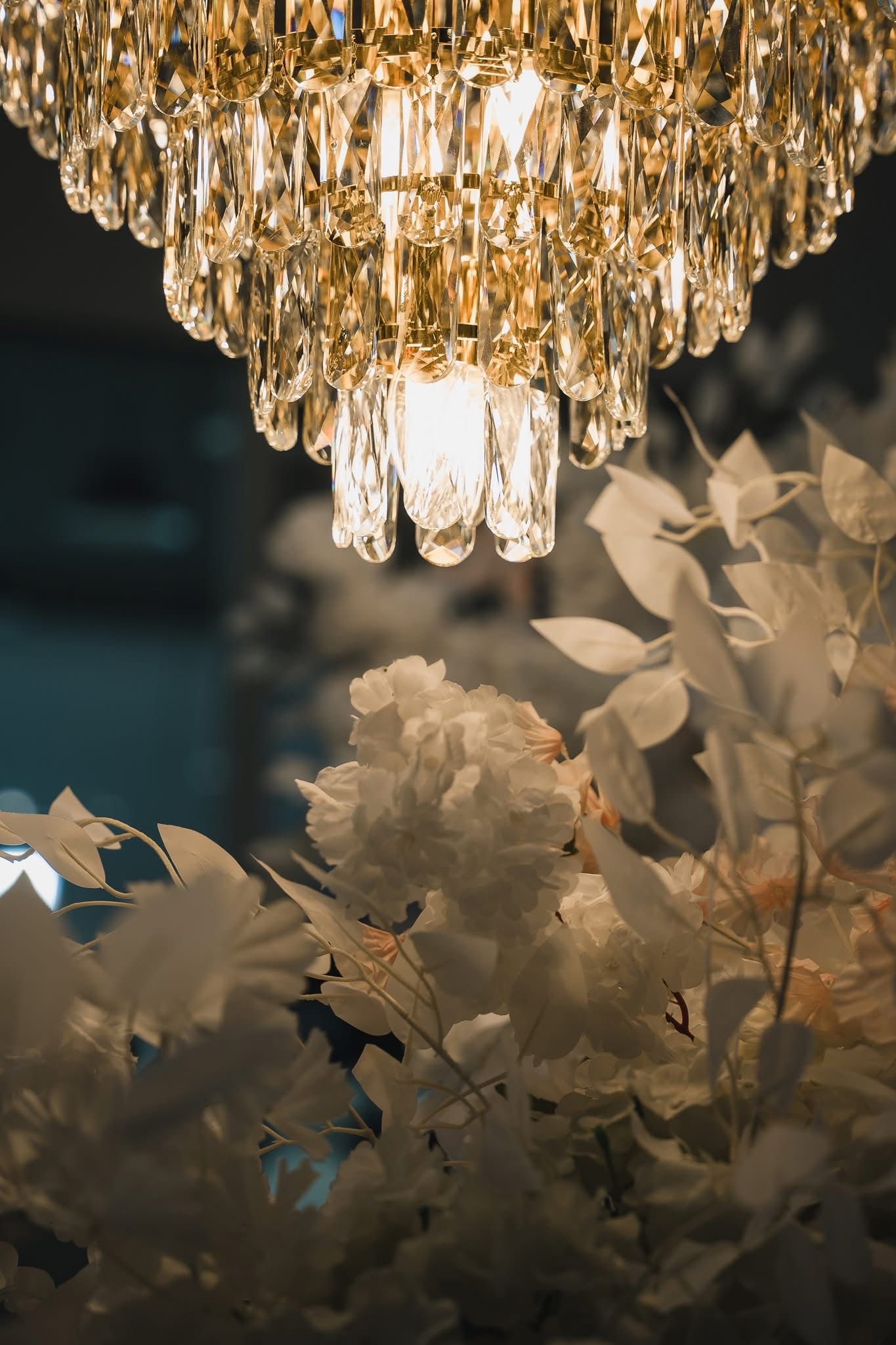 WhatsApp Image 2026-01-16 at 14.54.48 (1)