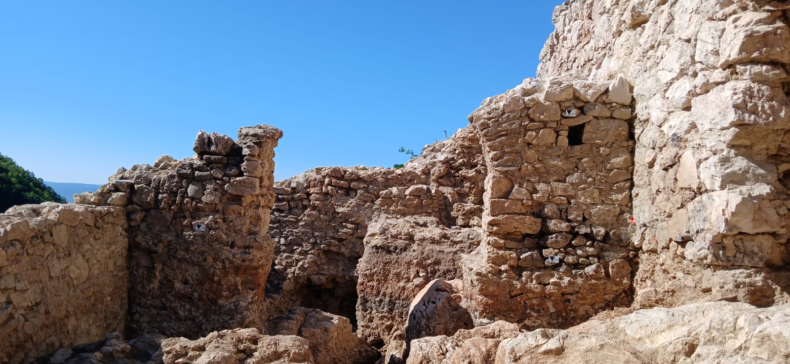 WhatsApp Image 2026-01-21 at 09.54.41(1)