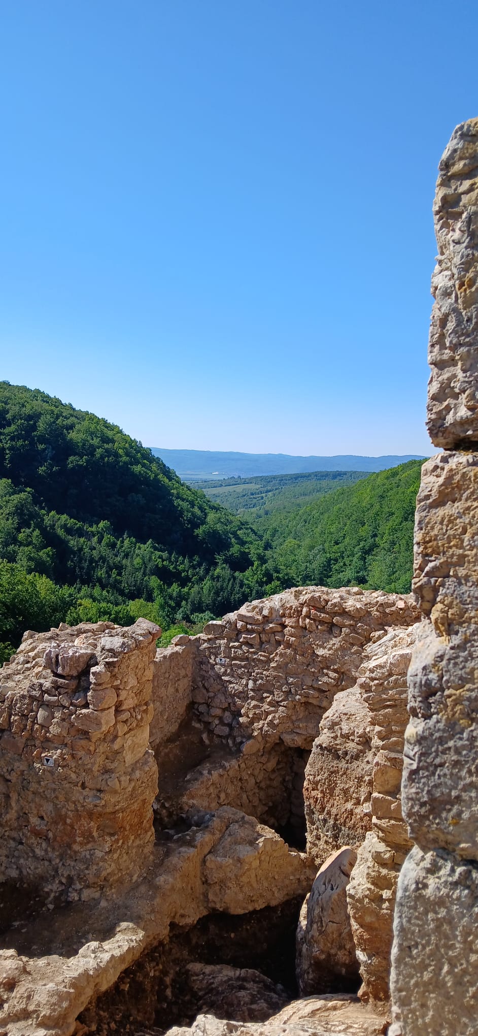 WhatsApp Image 2026-01-21 at 09.54.41(3)