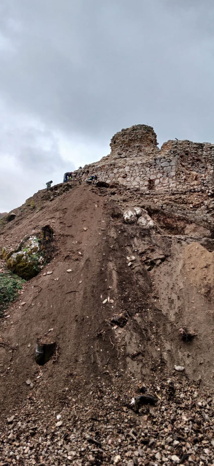 WhatsApp Image 2026-01-21 at 09.54.43(1)