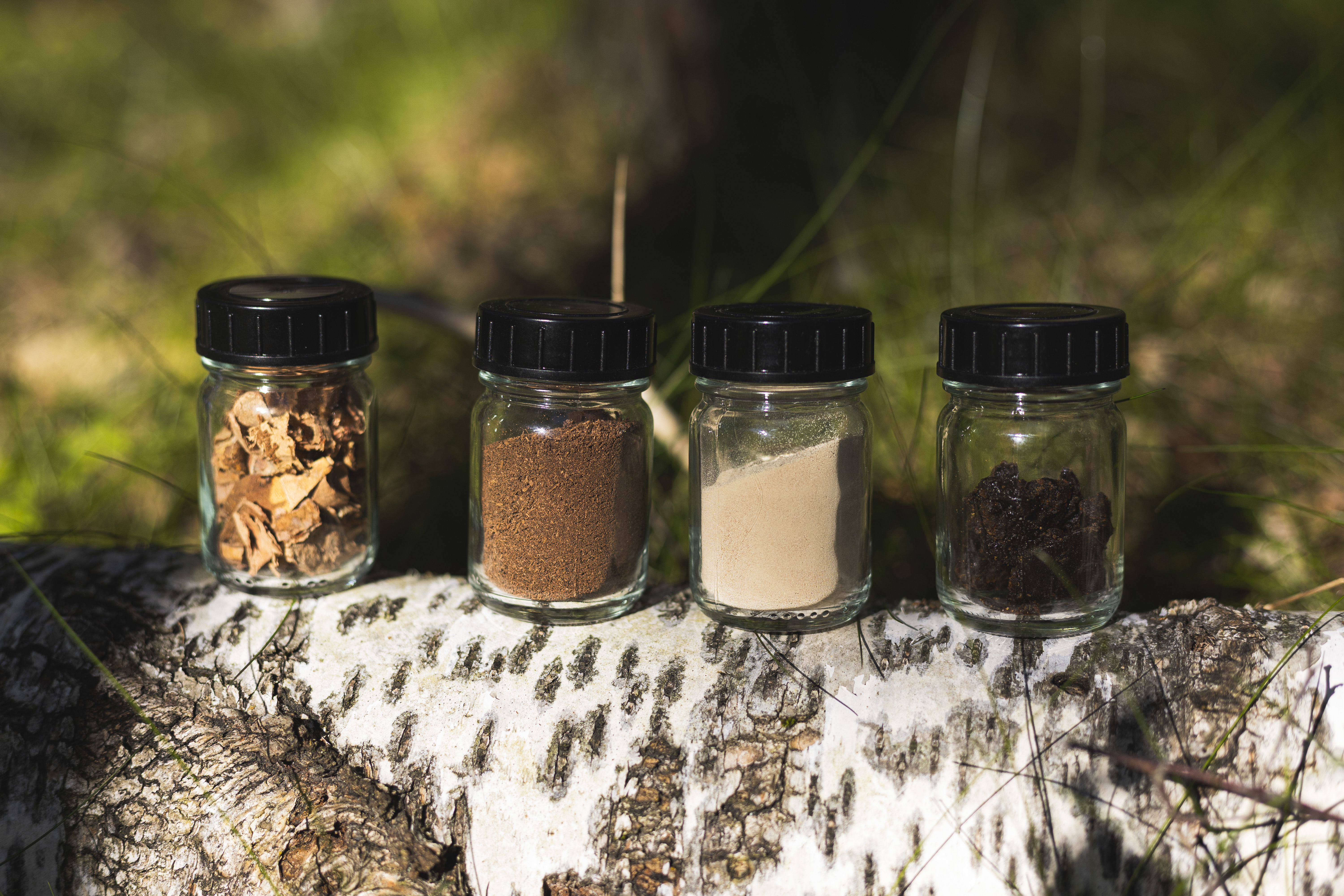 Reselo_s_raw_material_made_from_birch_bark_01