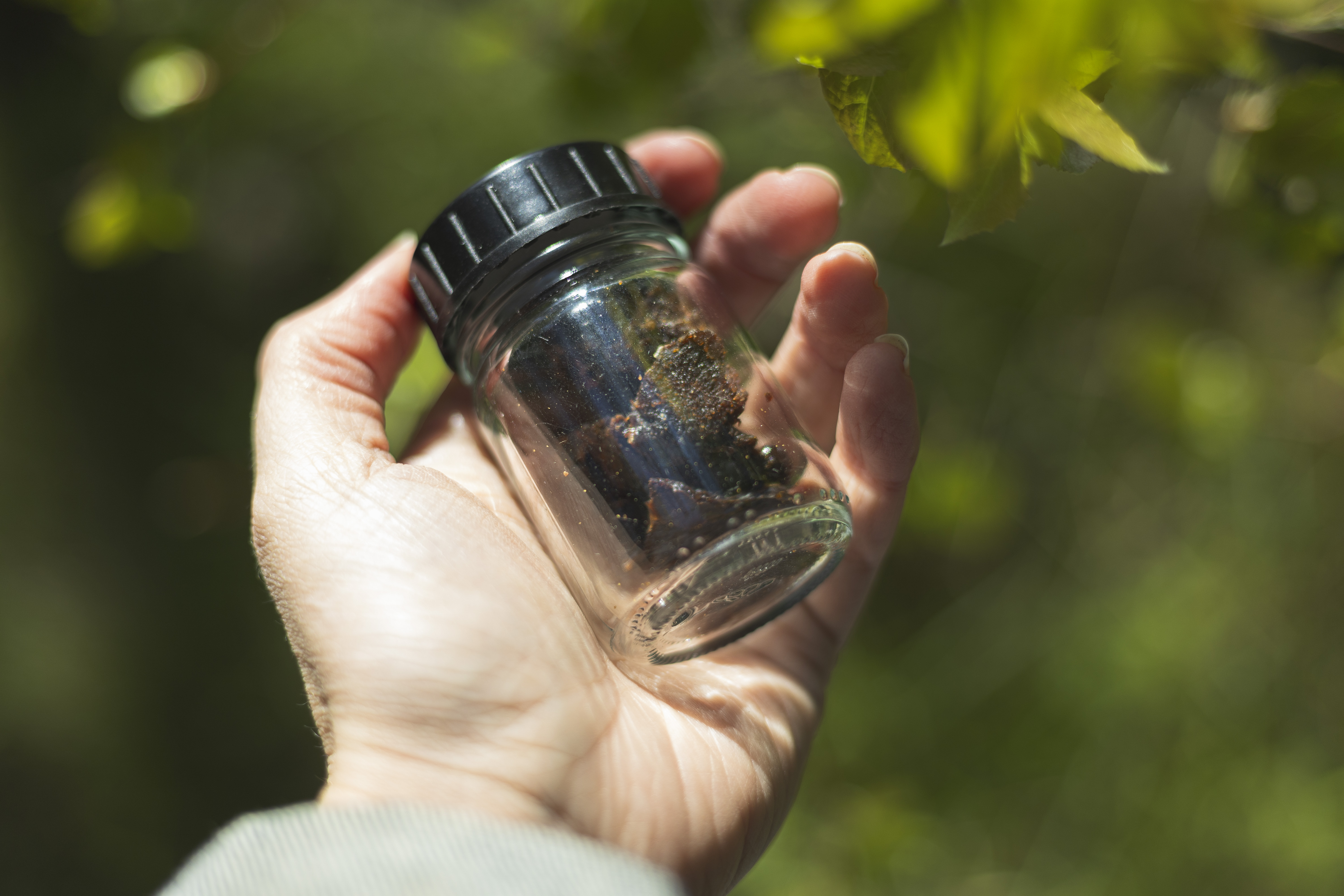 Reselo_s_raw_material_made_from_birch_bark