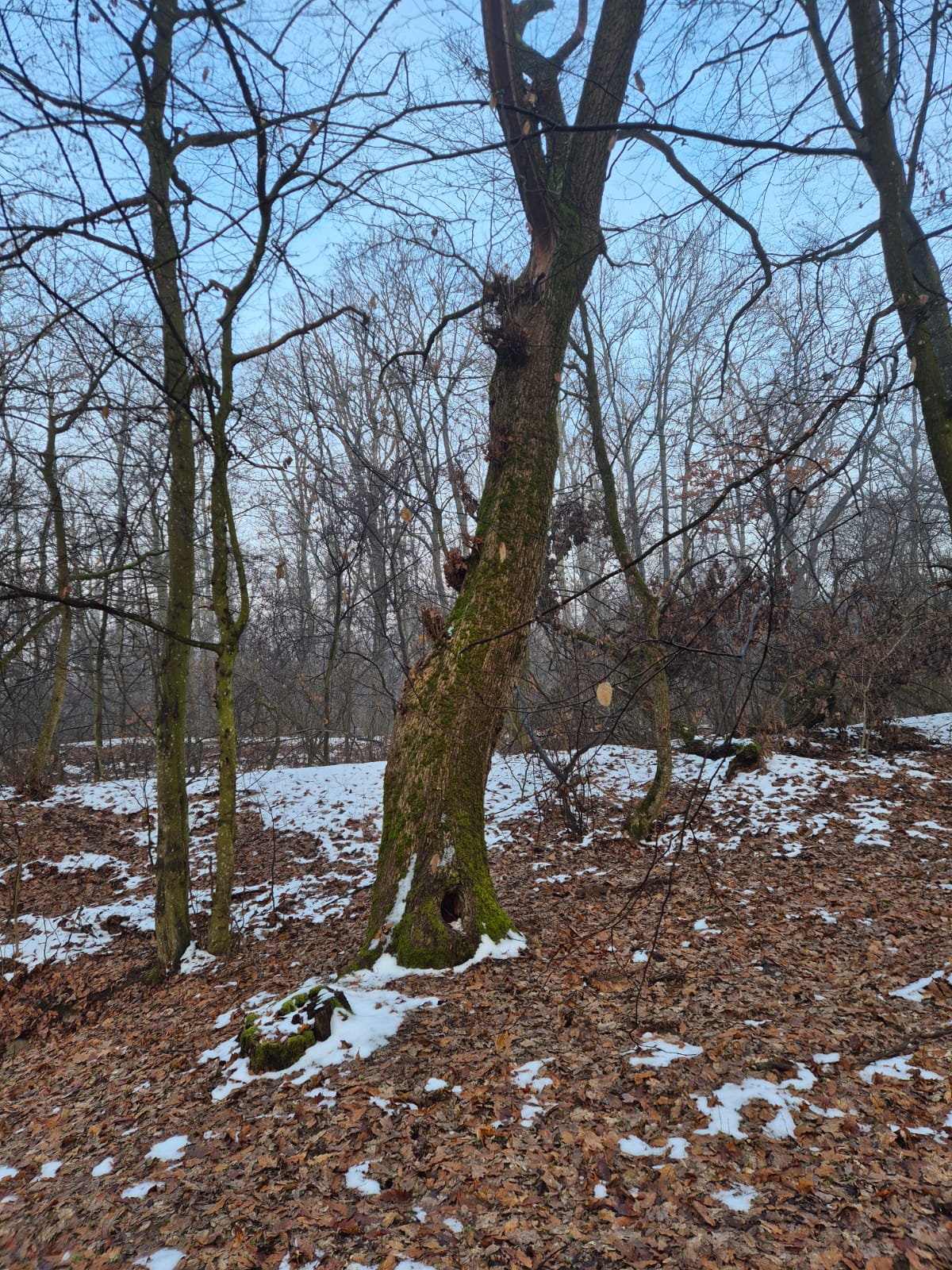 WhatsApp Image 2026-01-23 at 10.38.29 (5)