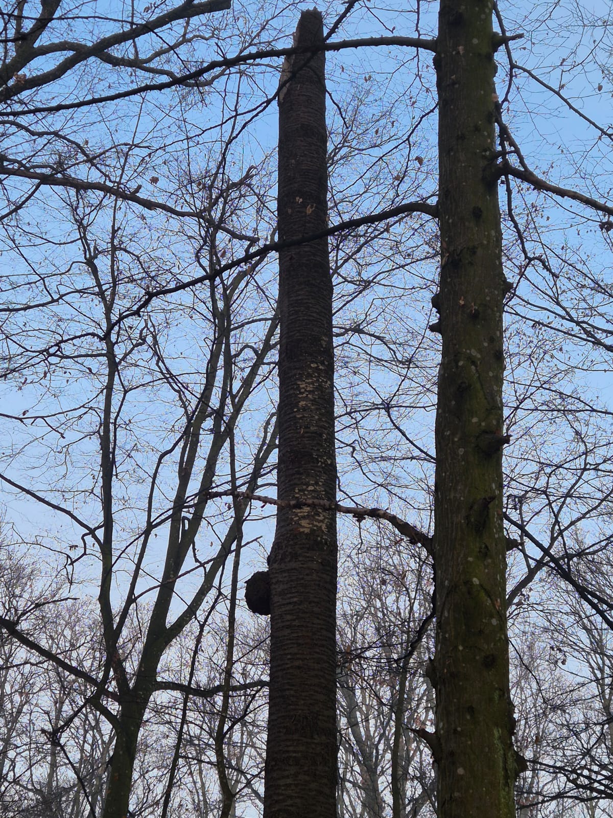 WhatsApp Image 2026-01-23 at 10.38.29 (6)