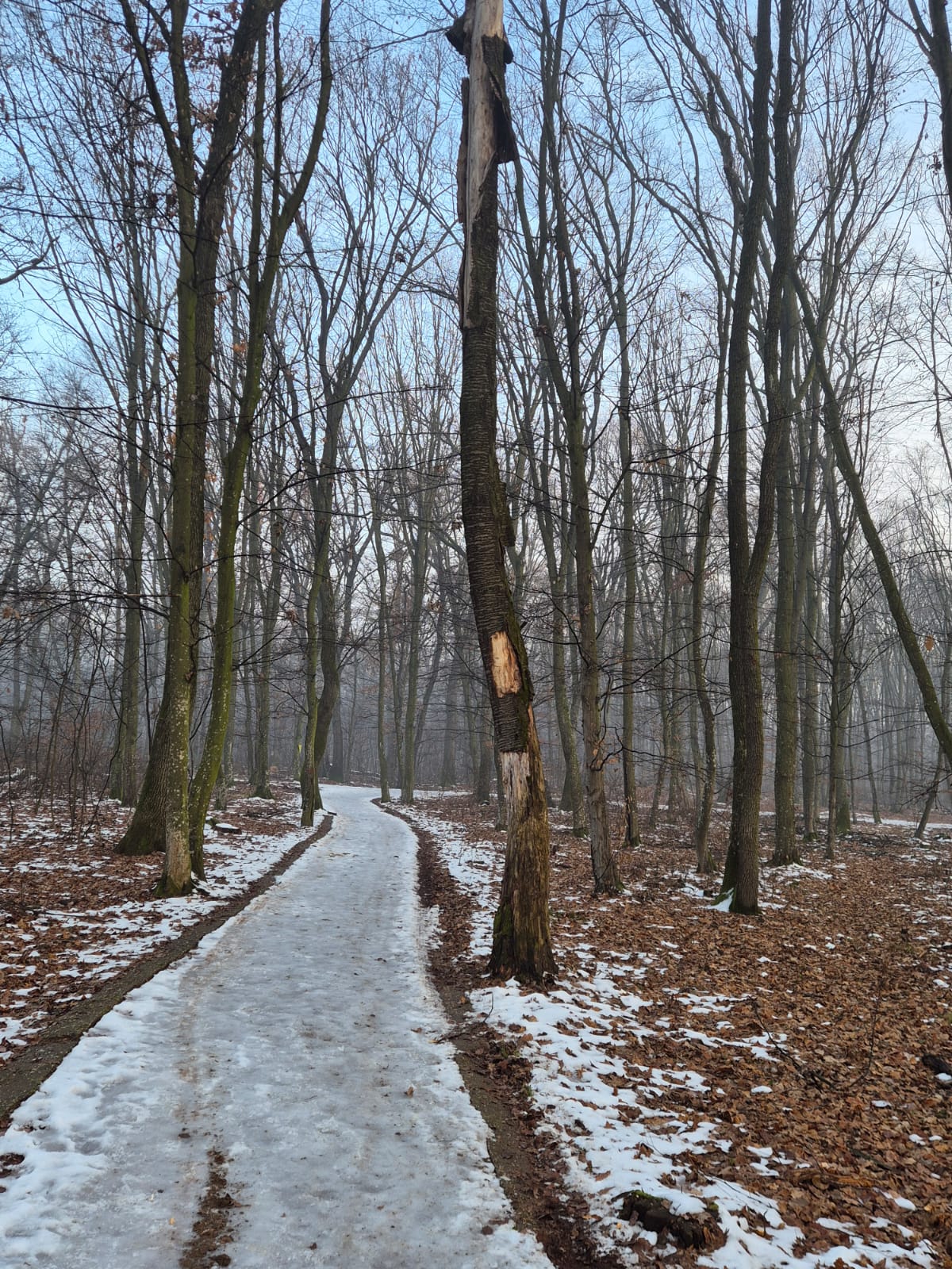 WhatsApp Image 2026-01-23 at 10.38.29