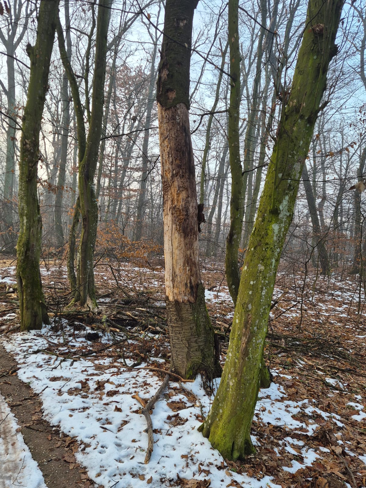 WhatsApp Image 2026-01-23 at 10.38.29 (1)