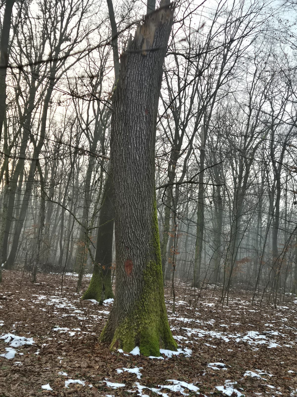 WhatsApp Image 2026-01-23 at 10.38.29 (7)