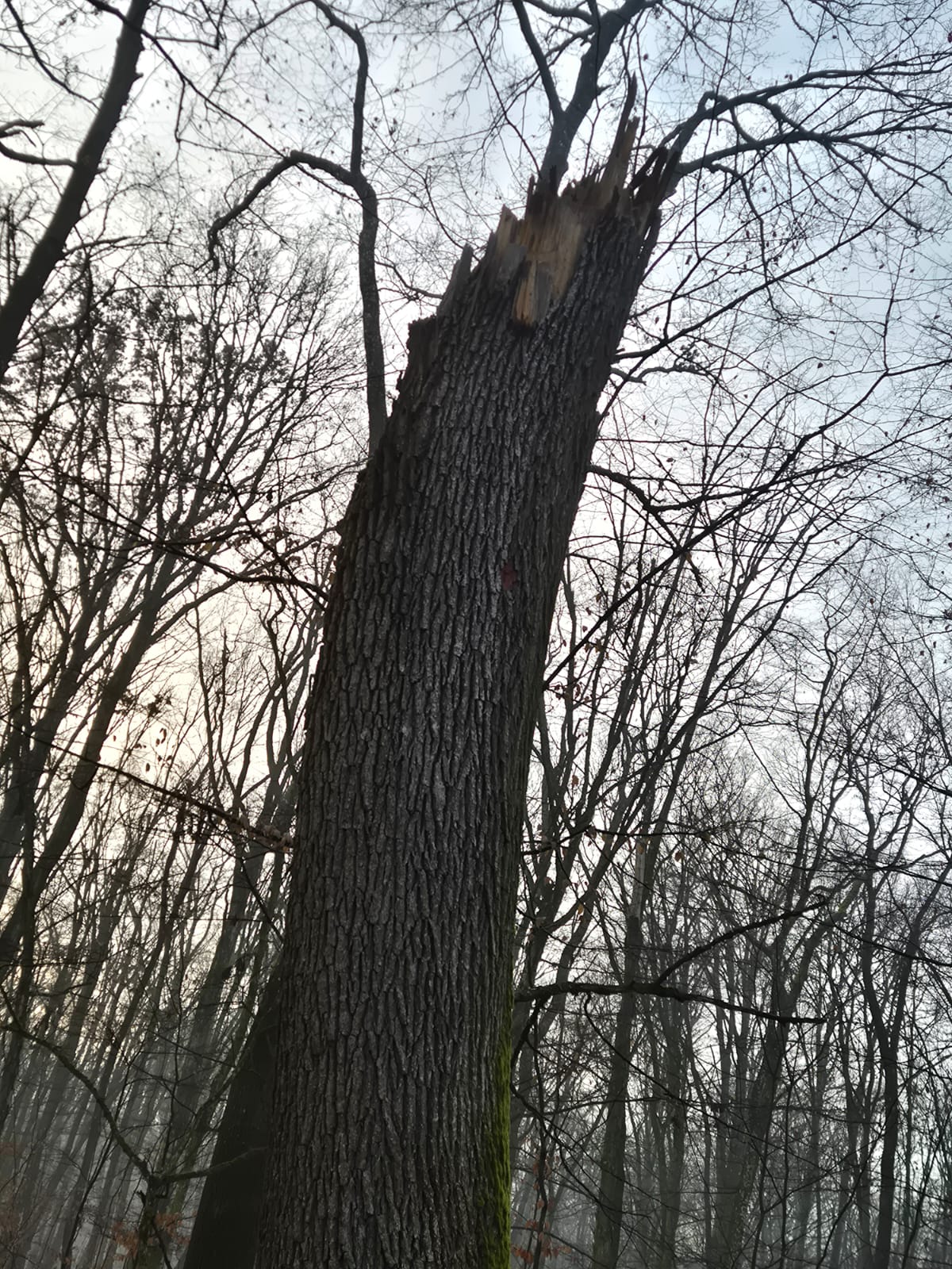 WhatsApp Image 2026-01-23 at 10.38.29 (8)