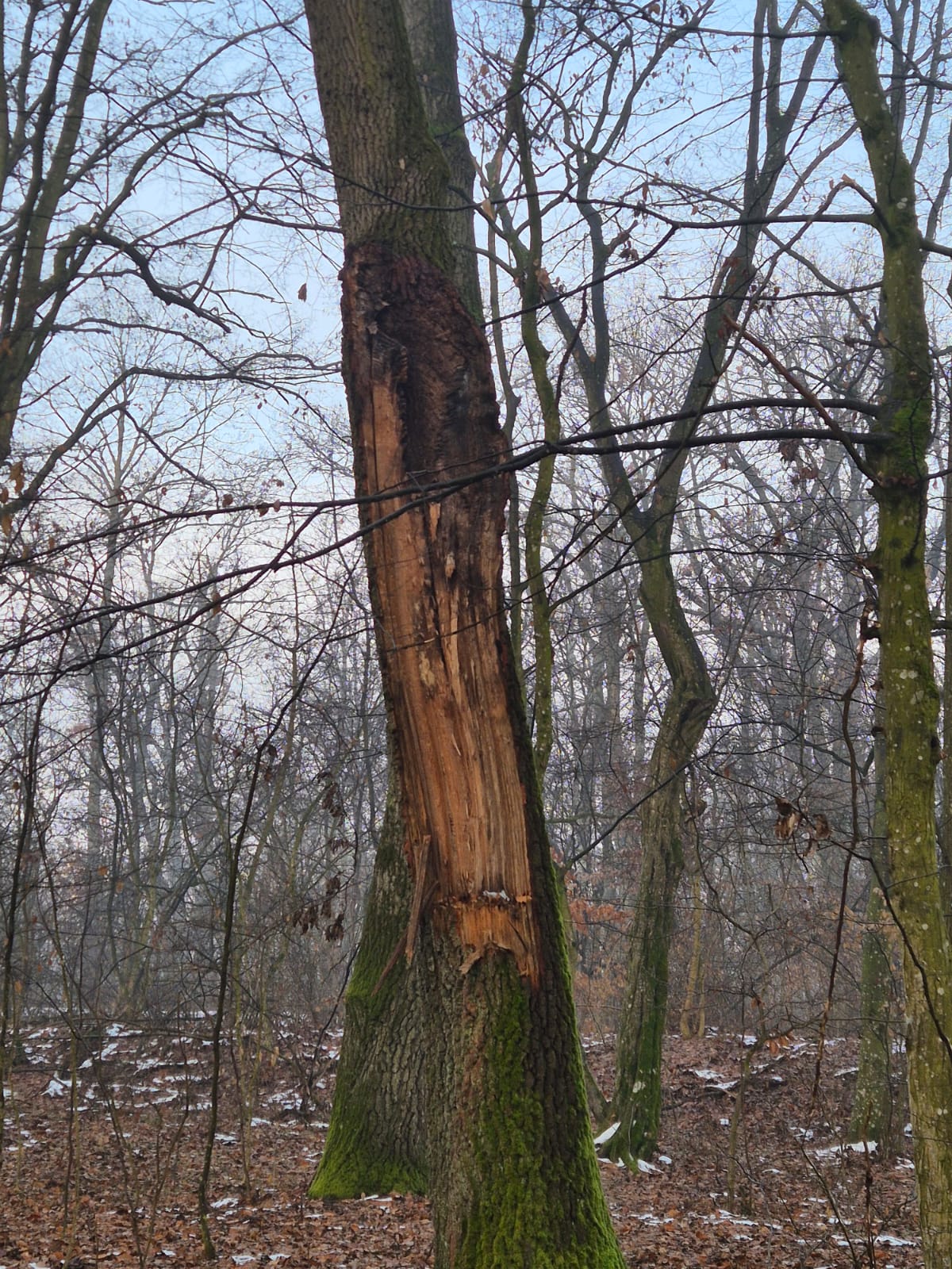 WhatsApp Image 2026-01-23 at 10.38.29 (4)