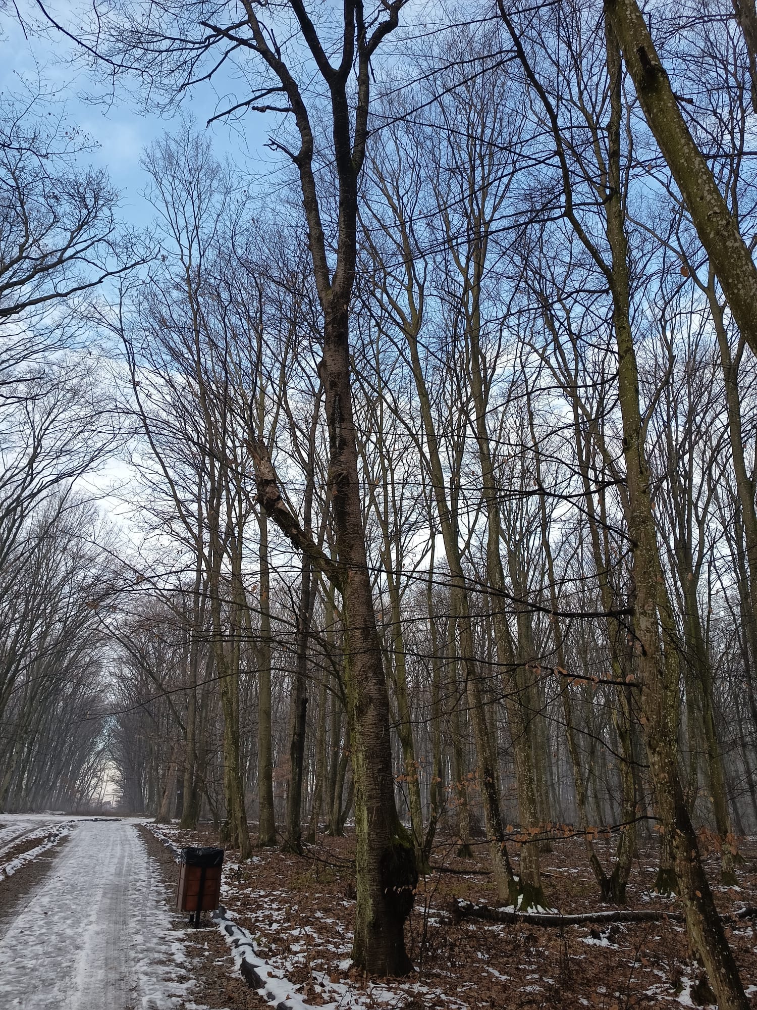 f959f75e-f984-47f8-84f6-354ca7ba93cc