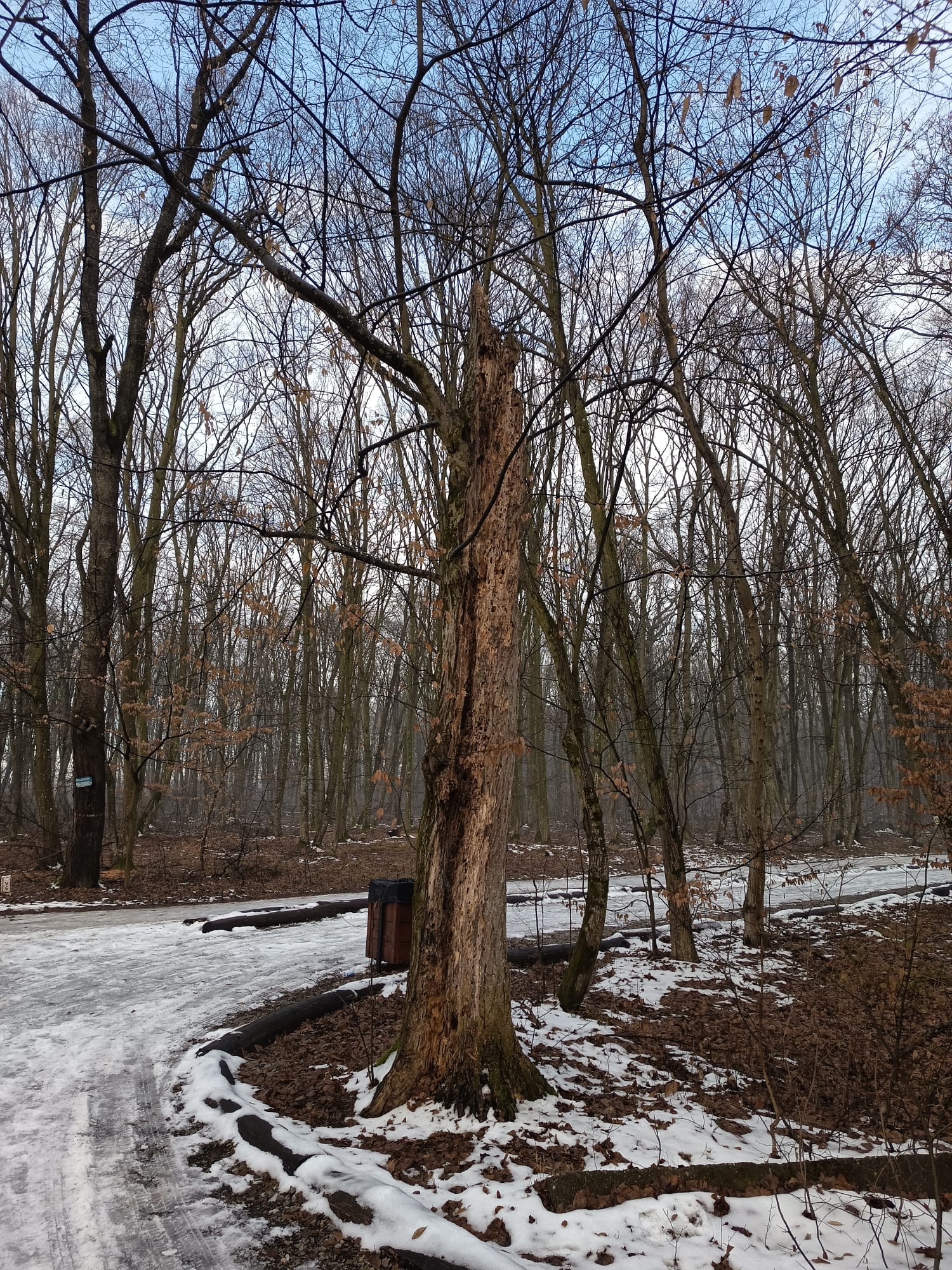 65fd95b9-9db6-47af-9367-9e9192b5b3ca