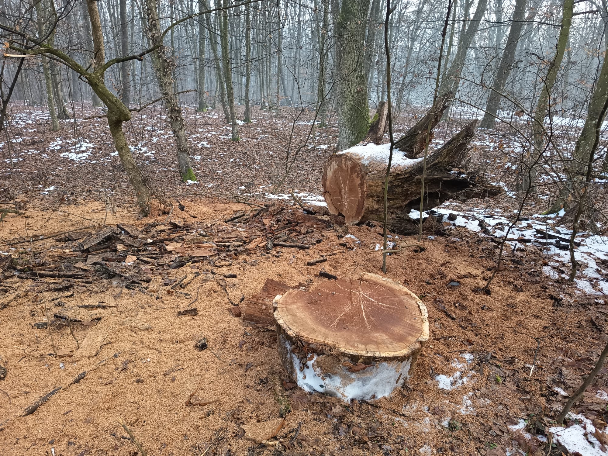 f2405b6e-167a-4404-bf1a-d2028ae00d35