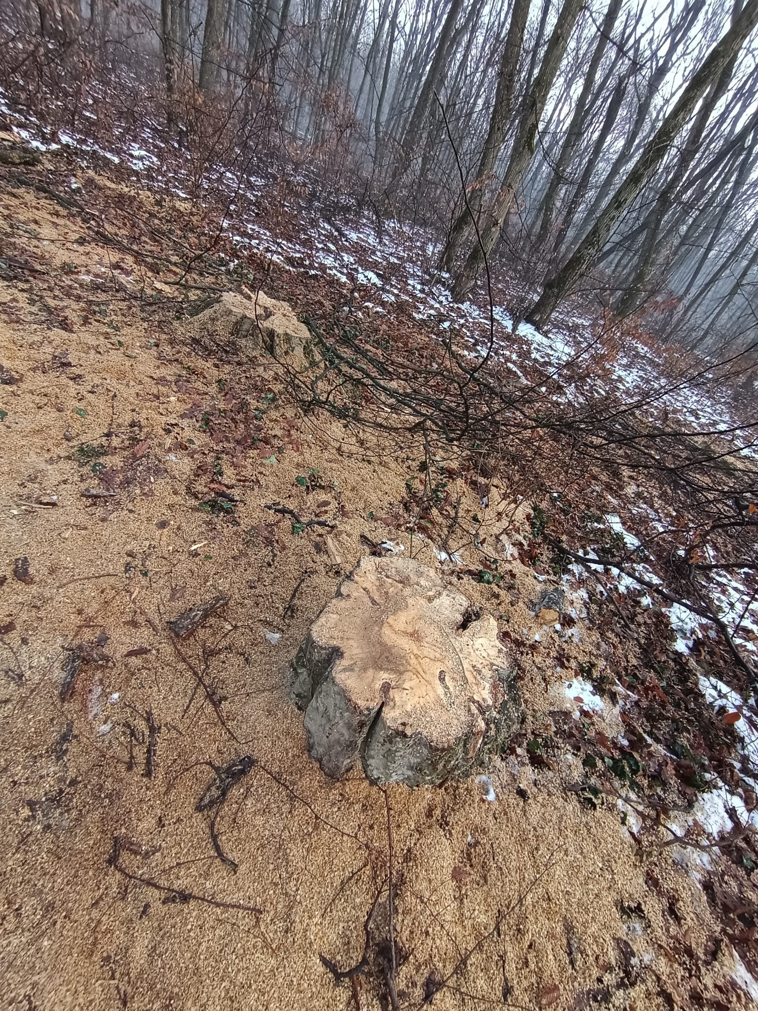 WhatsApp Image 2026-01-23 at 11.40.57