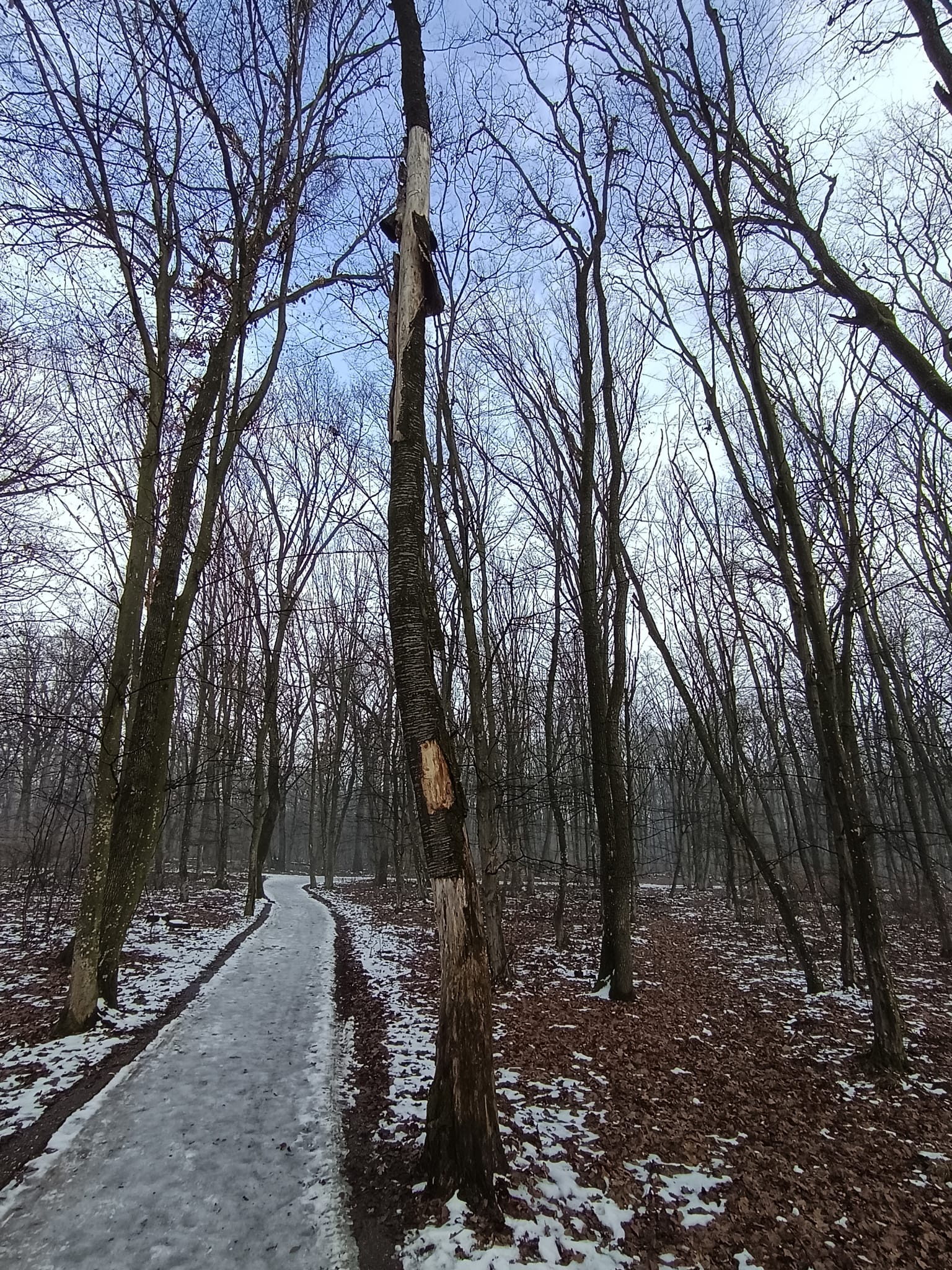 a2be3459-8a93-4684-8882-cd9d6d03f4dc