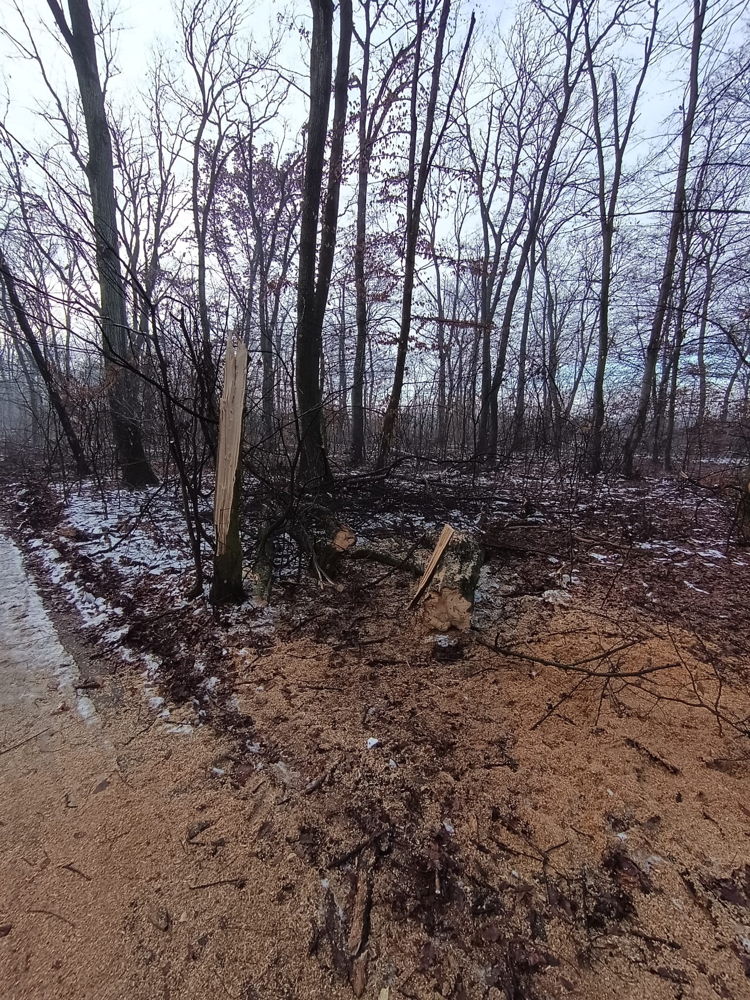 e66130ae-b2b5-49ab-b5fd-22121d500abb