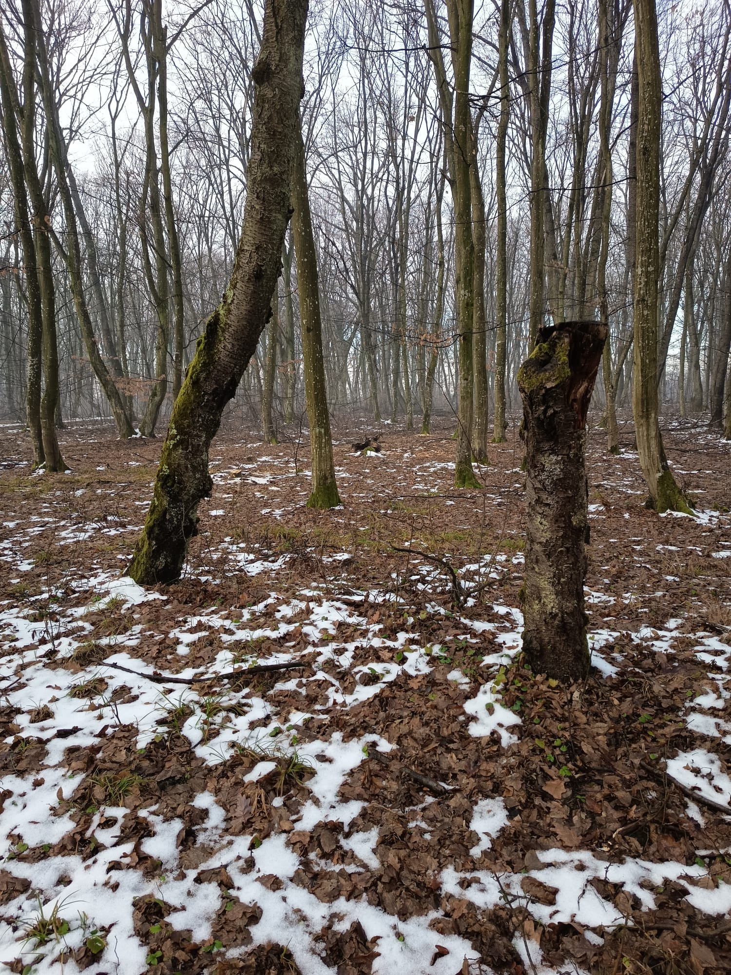 b07f9704-3163-4974-a190-dbe504455d23